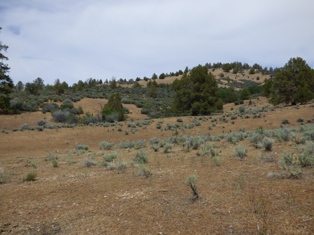 Blacktail Hills Retreat