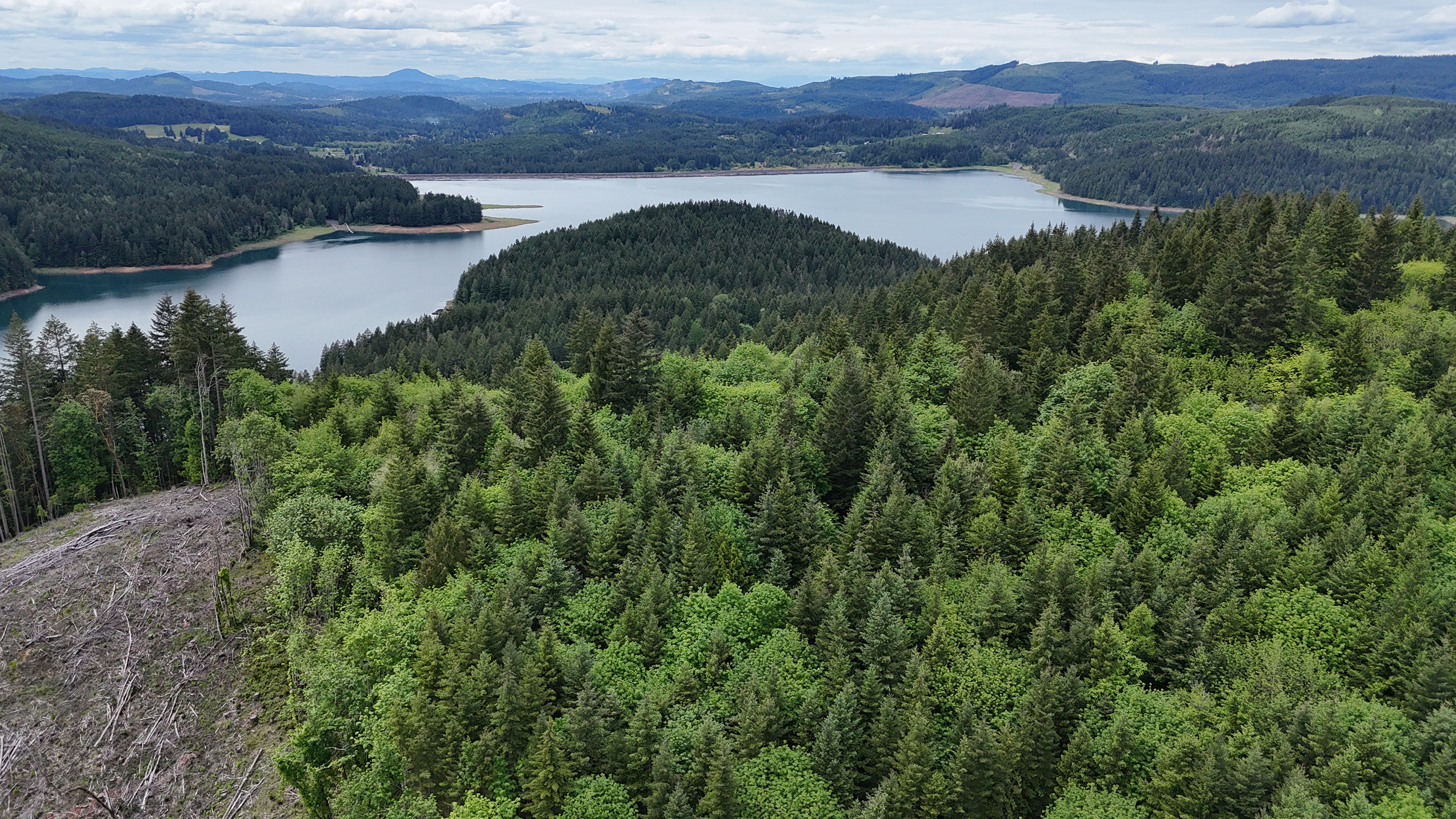 83715 Peninsula Rd Fall Creek OR