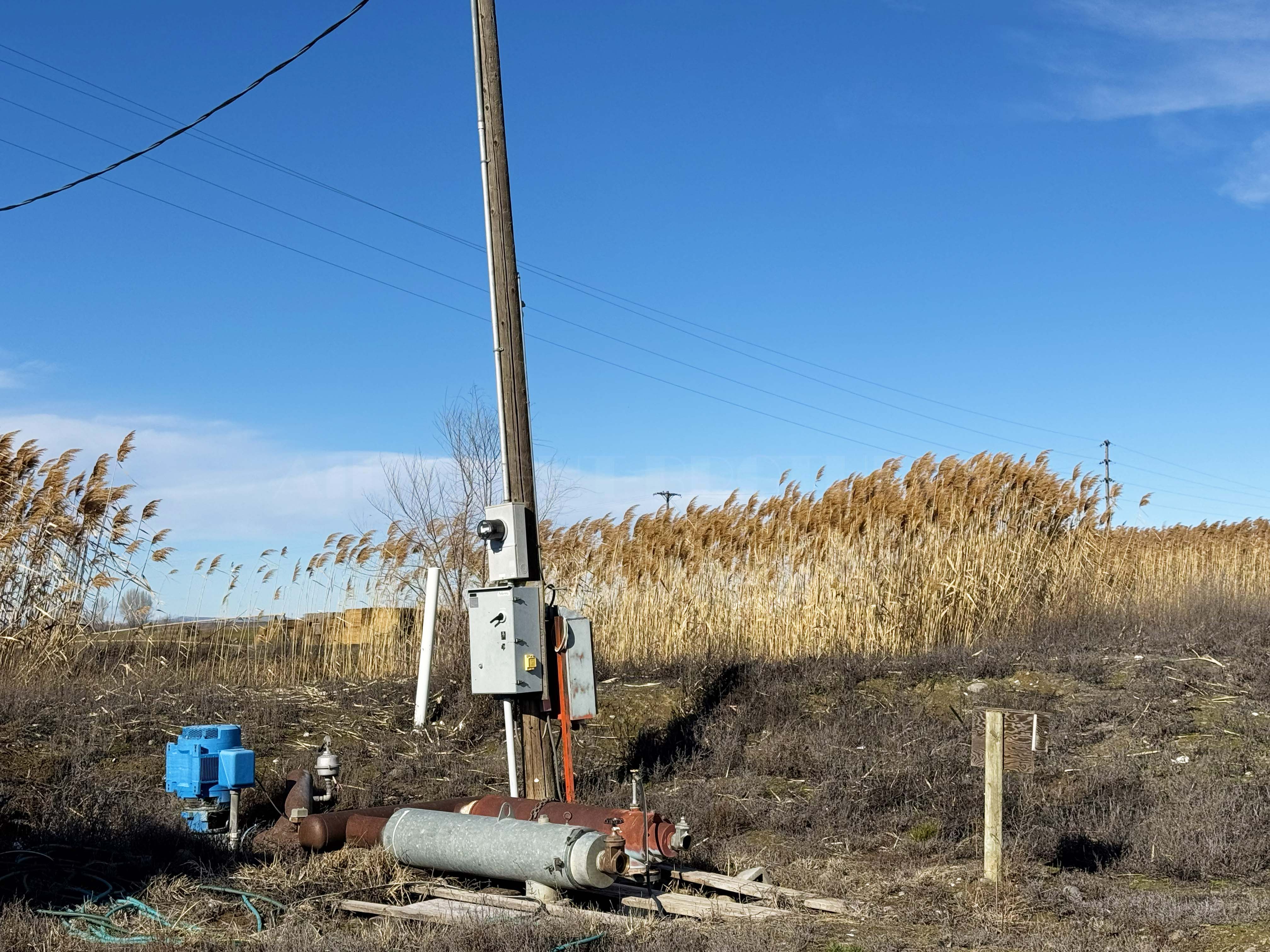 Best Price in County for Productive Orchard