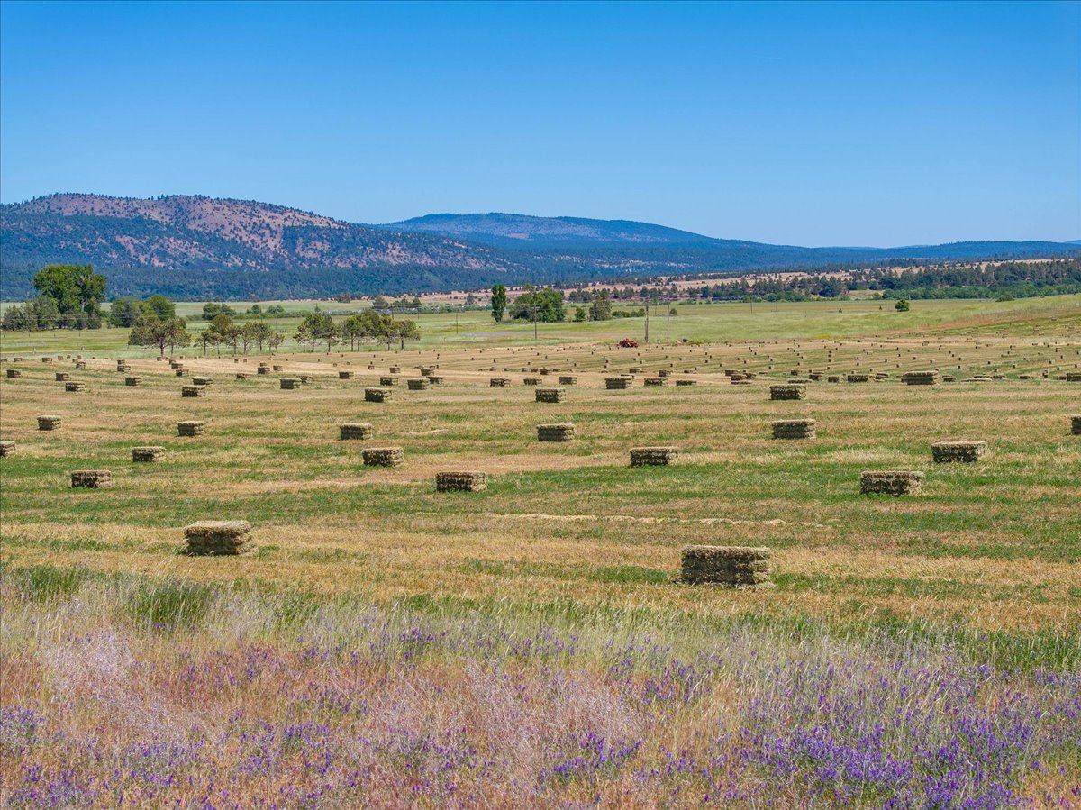 Mystic Mountain Ranch