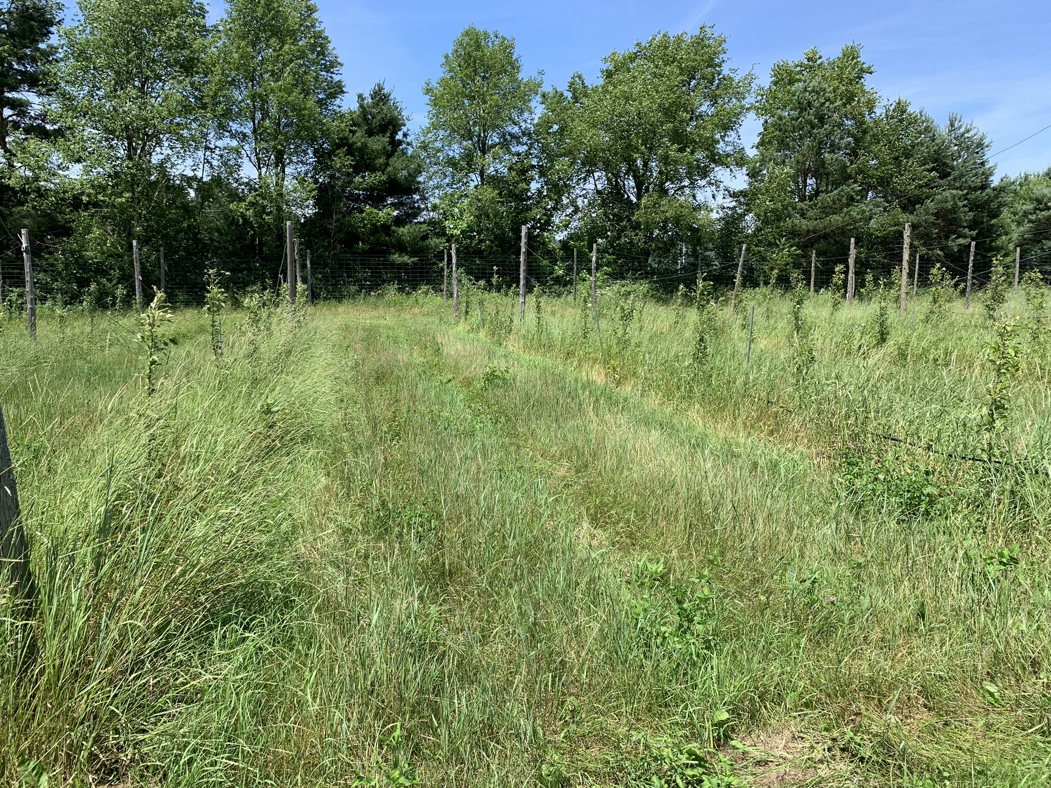 Listing Image 24