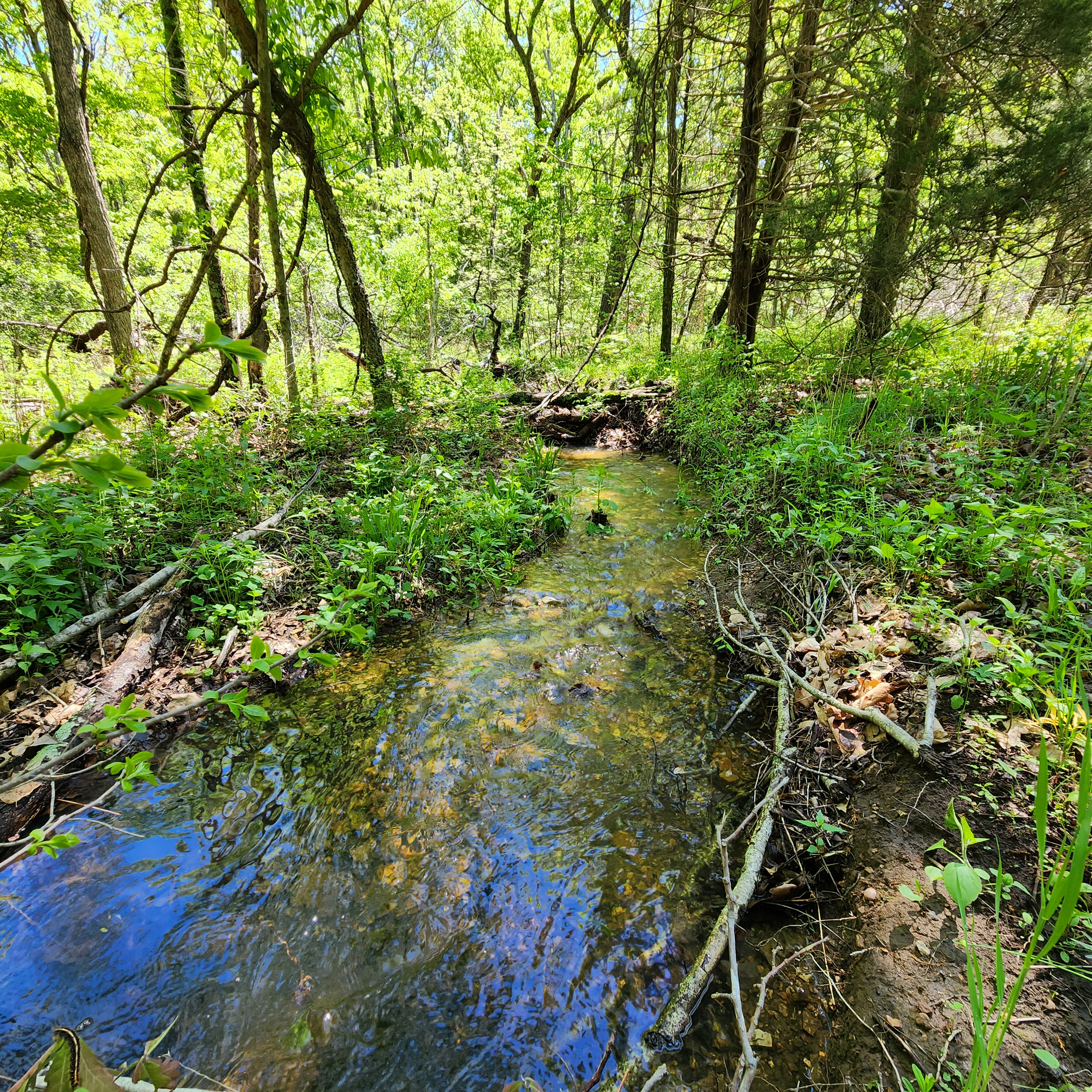 Listing Image 10