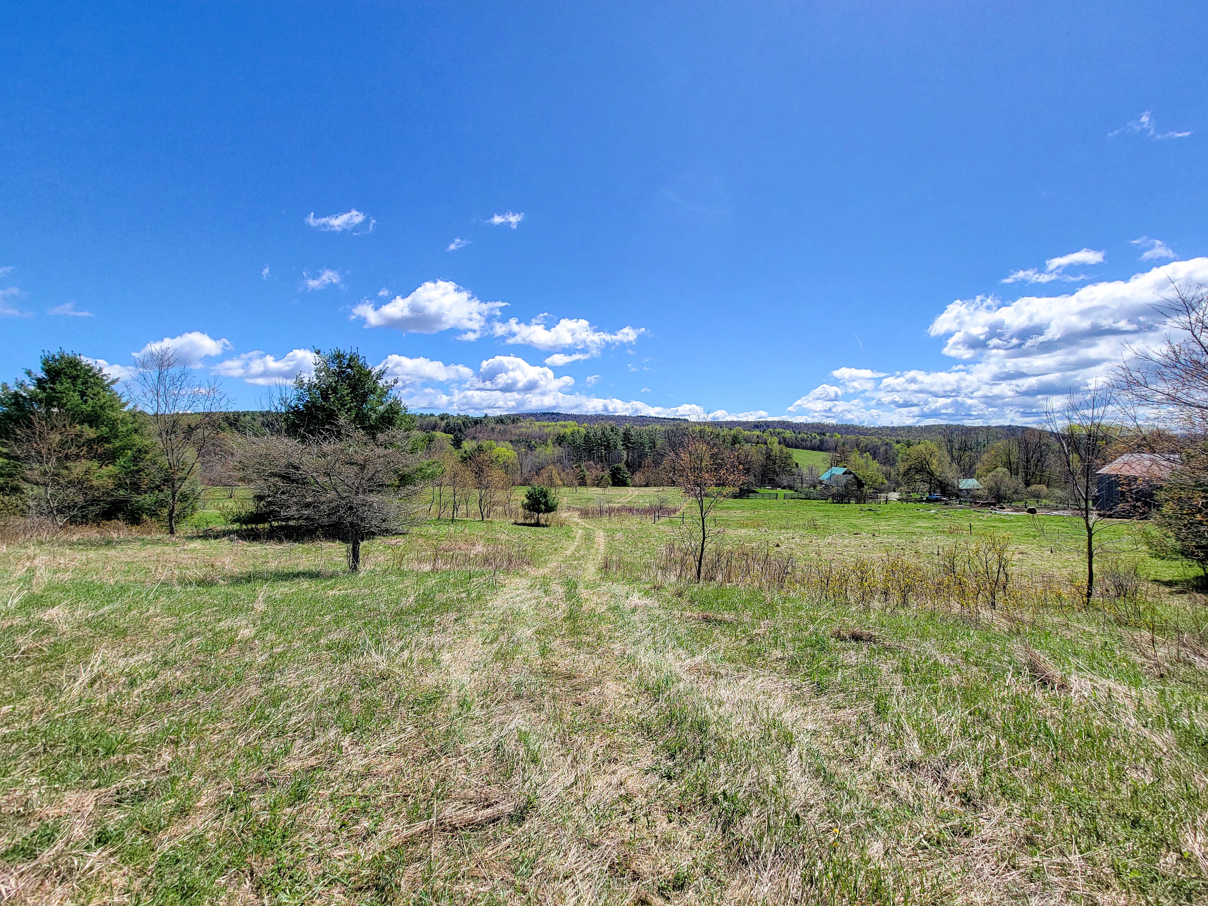 Listing Image 24