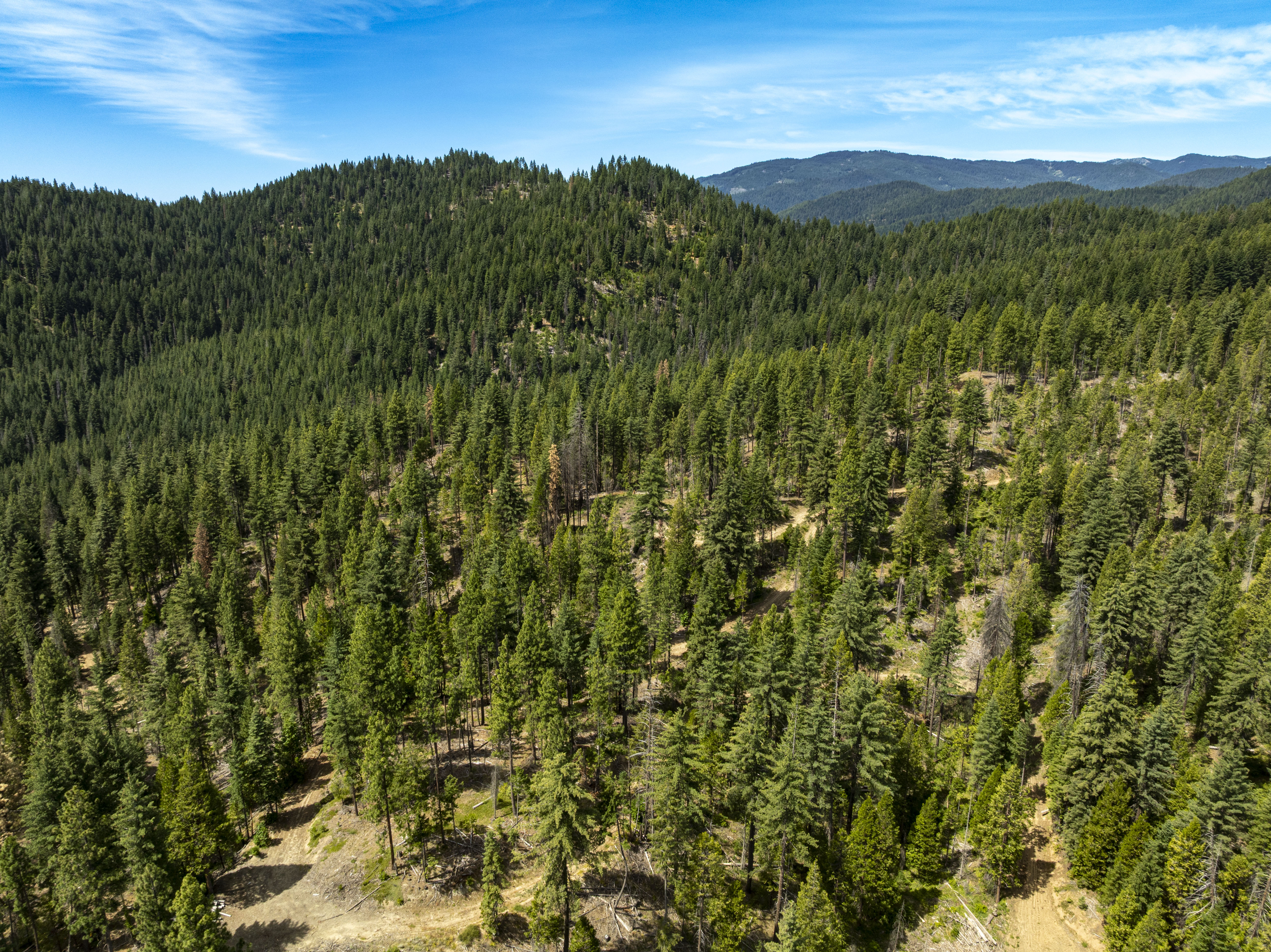Listing Image 55