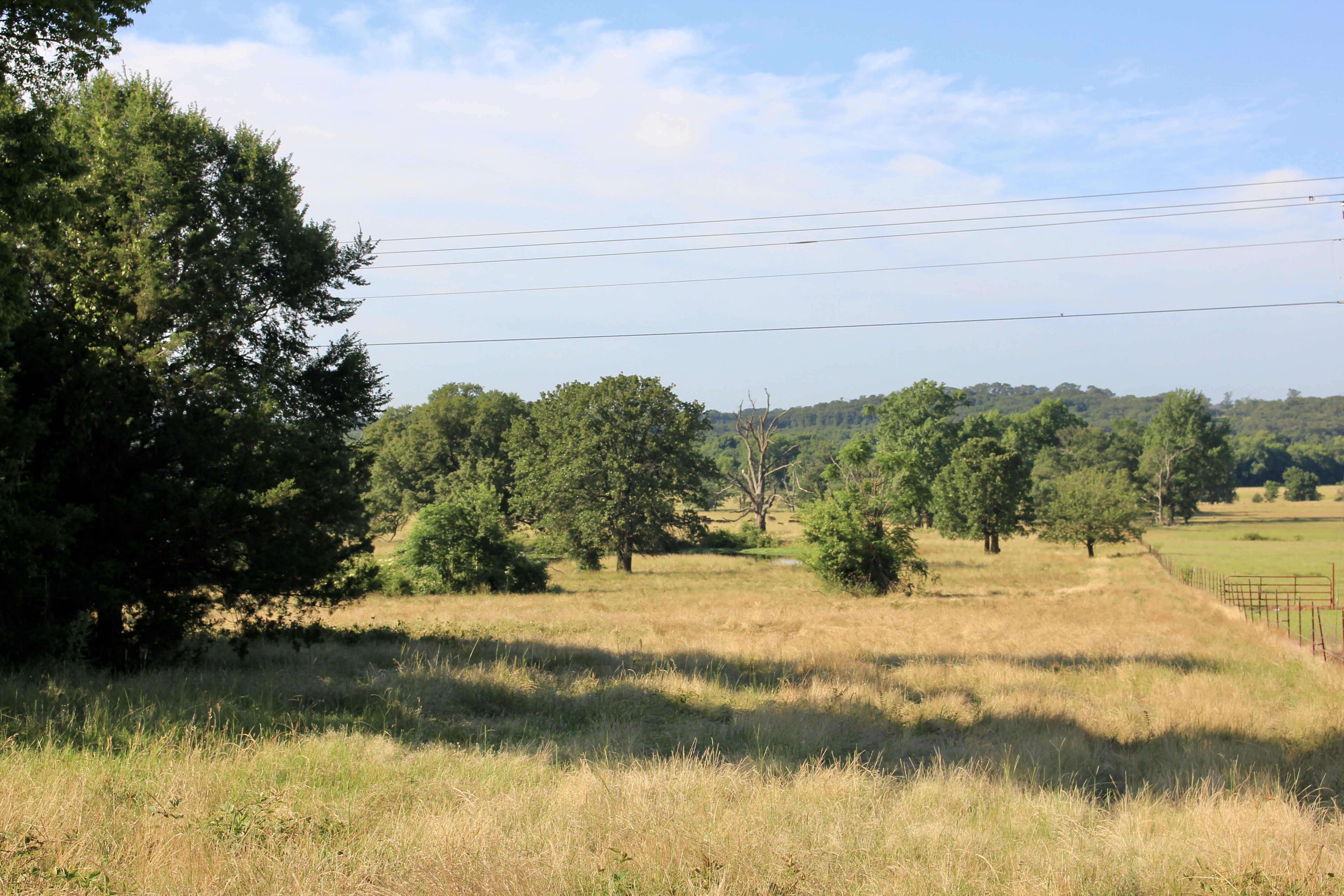 River Valley Rotational Grazing