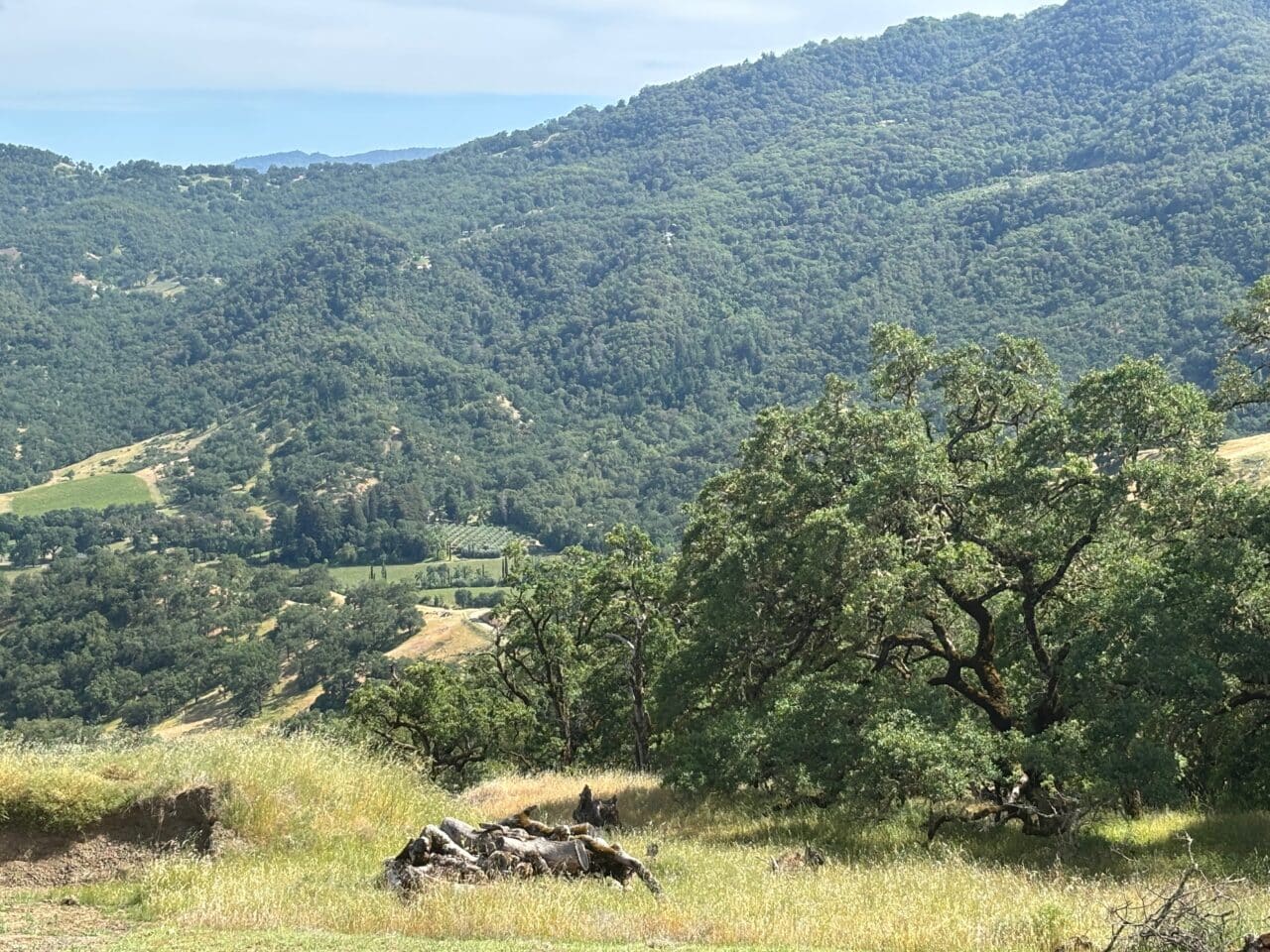 McNab Crag Ranch