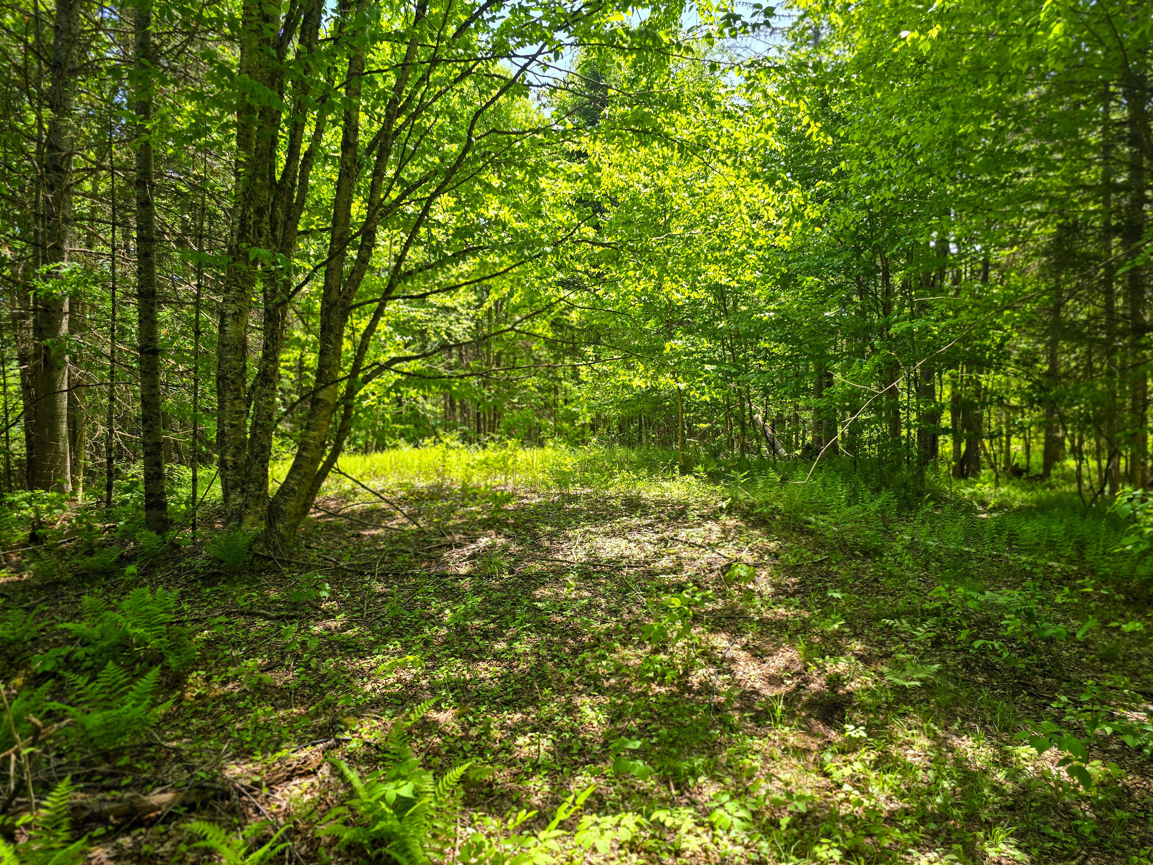 150 Spur Rd - Bloomfield