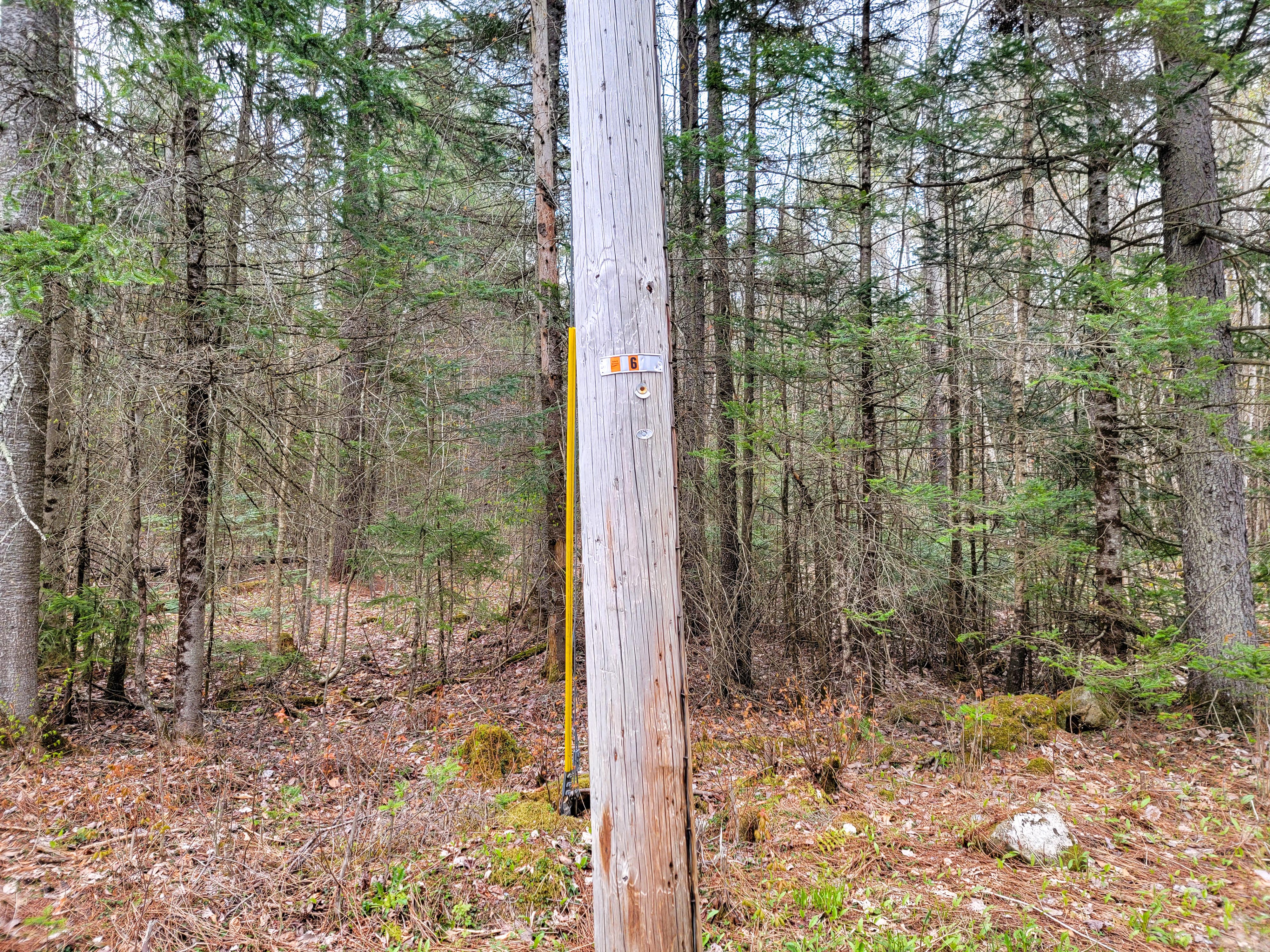 Listing Image 5