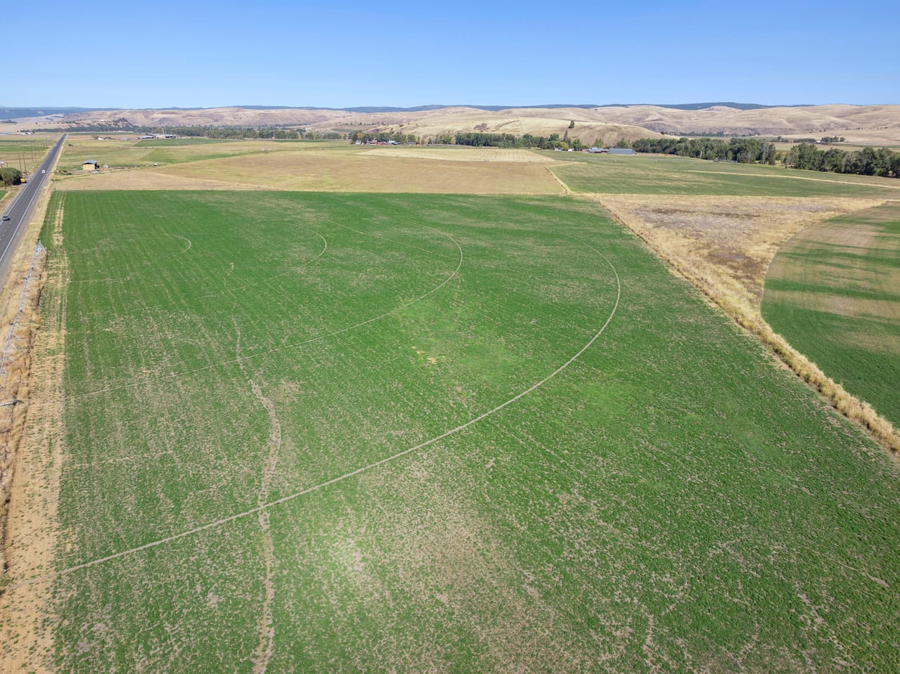 Listing Image 42