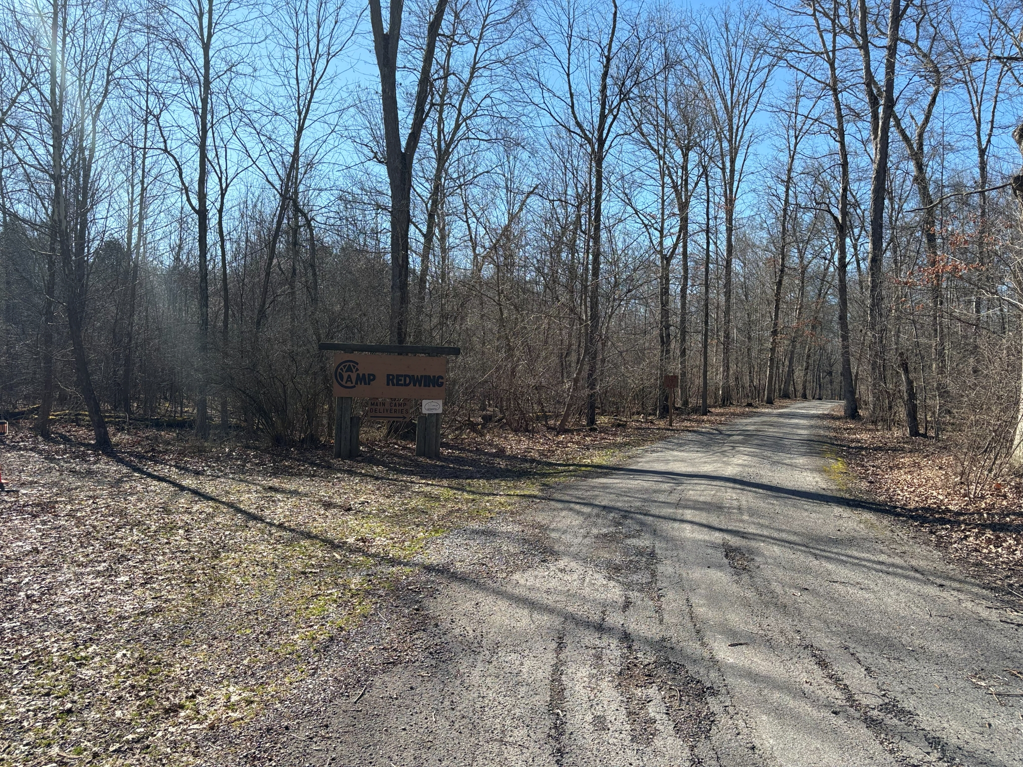Listing Image 89