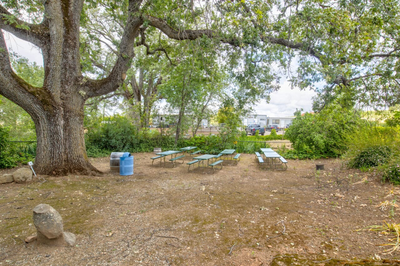 Listing Image 52