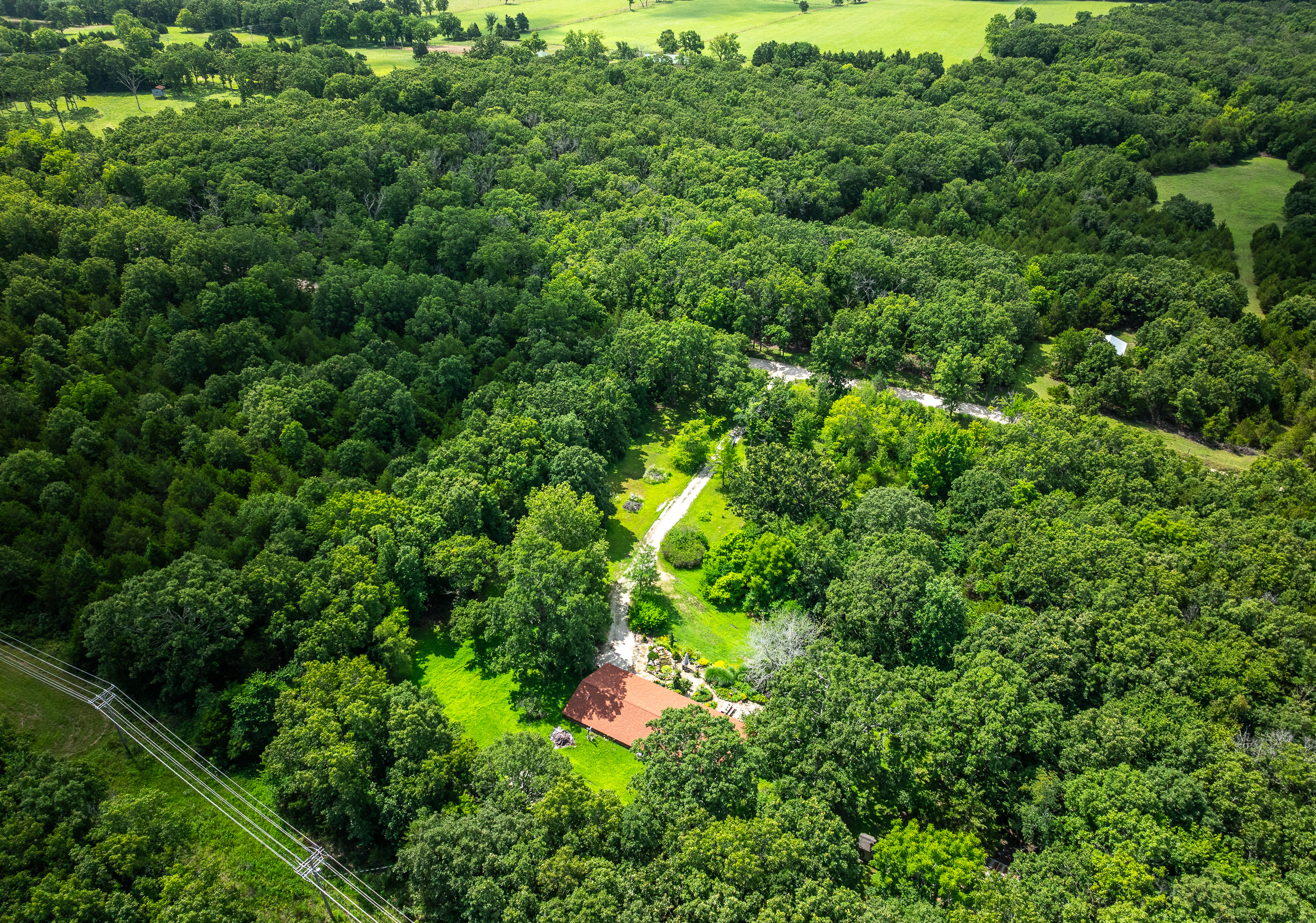 Verdant Bloom Retreat