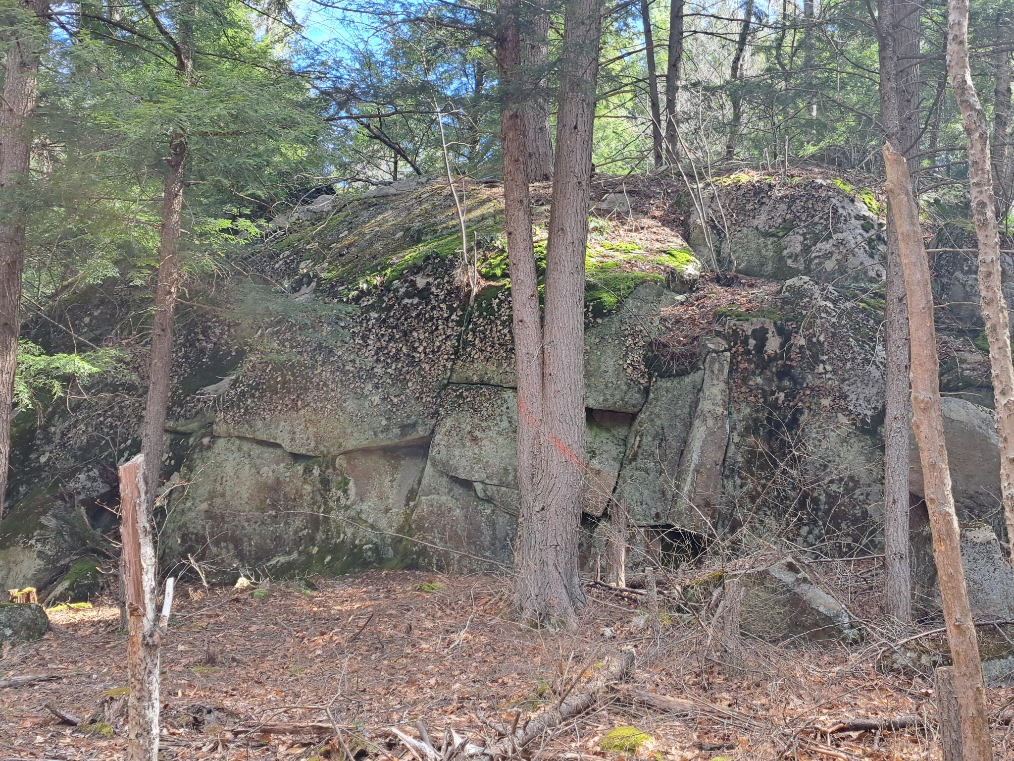 Listing Image 27