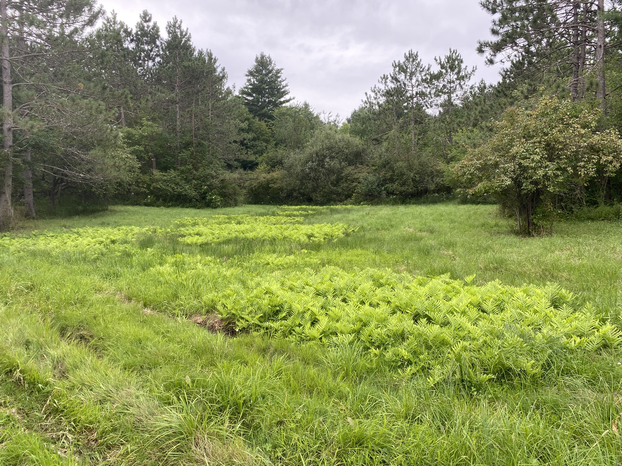 Listing Image 51