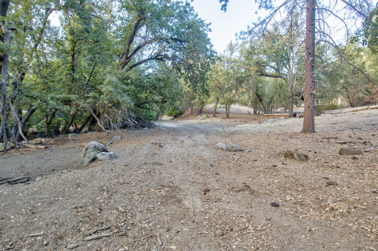Listing Image 17