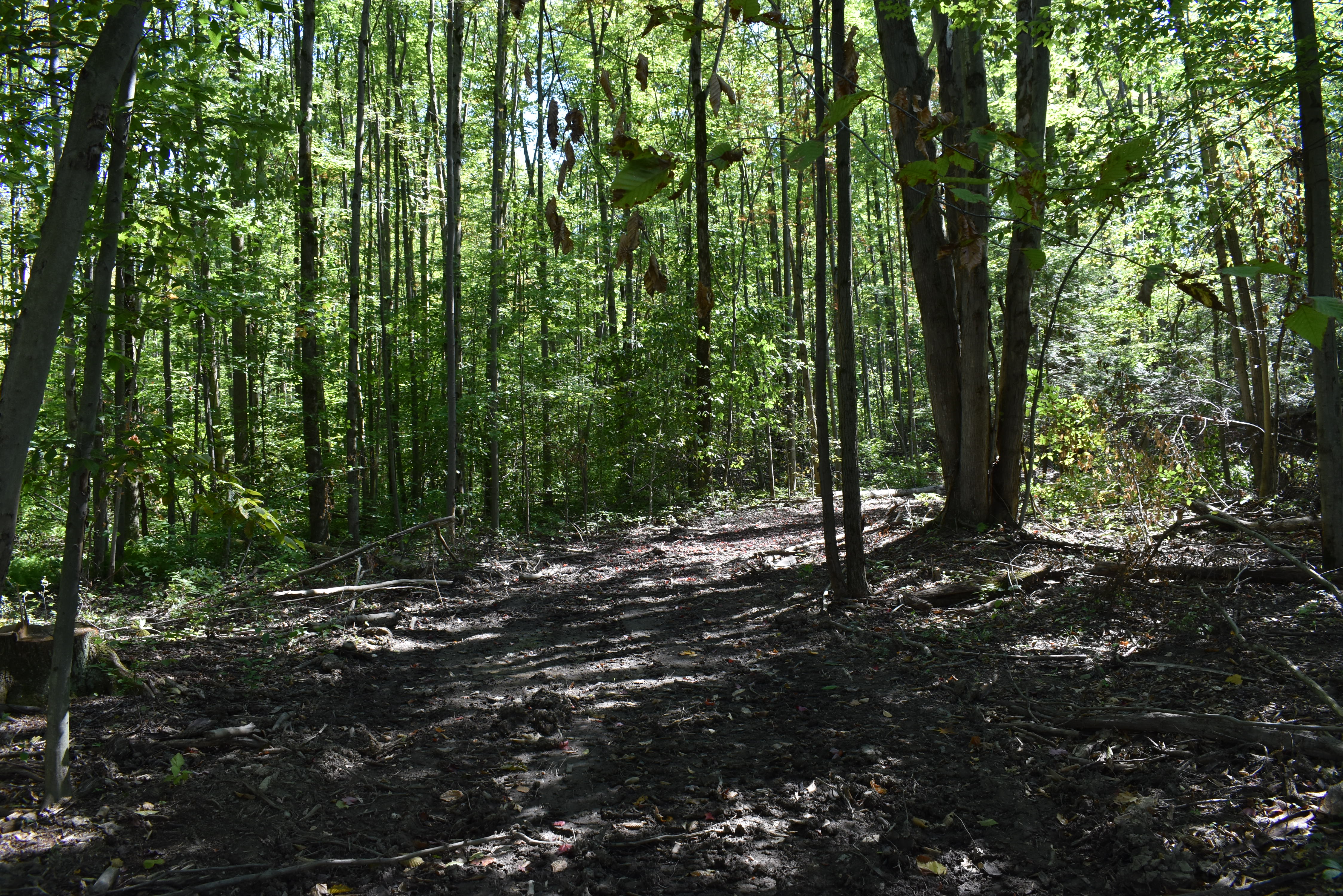 Hunter's Hidden Treasure