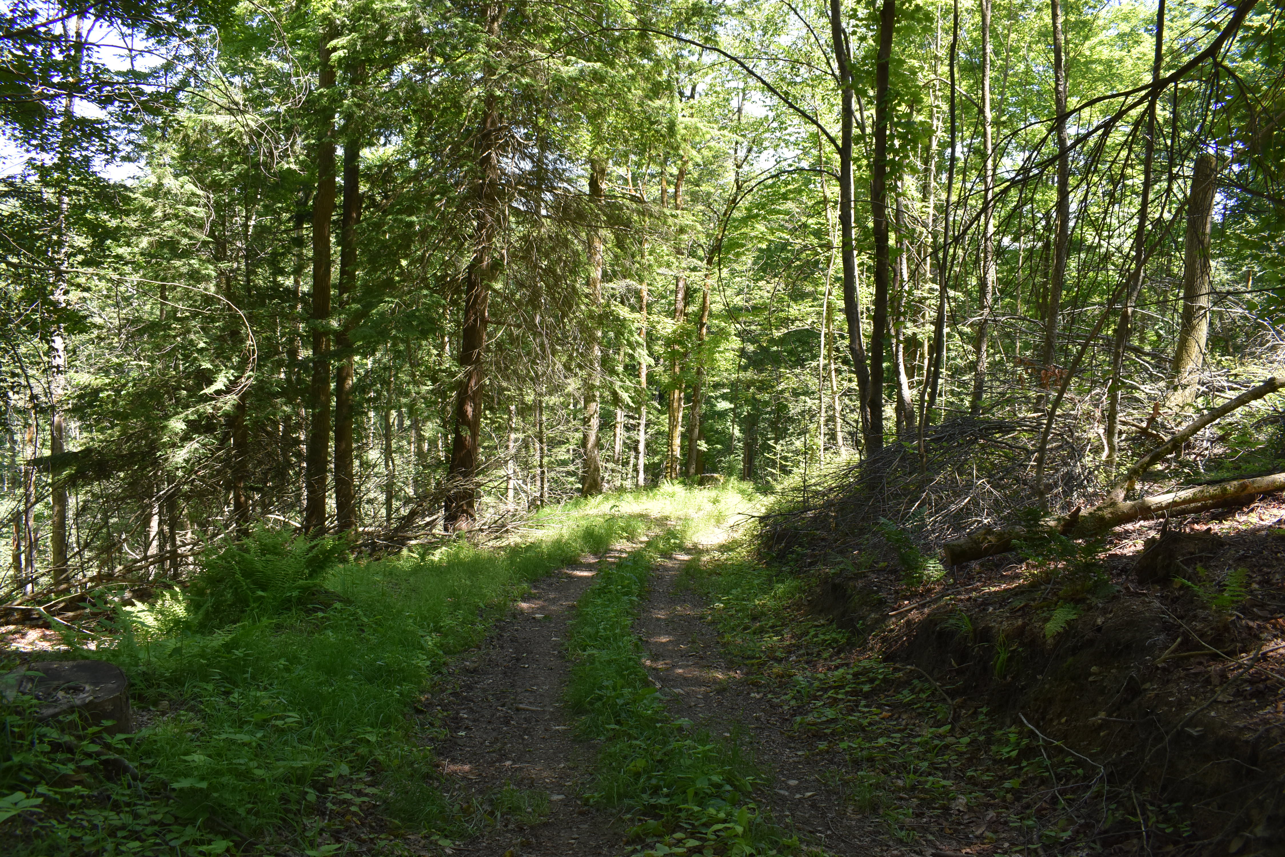 Fabulous Farrington Hollow