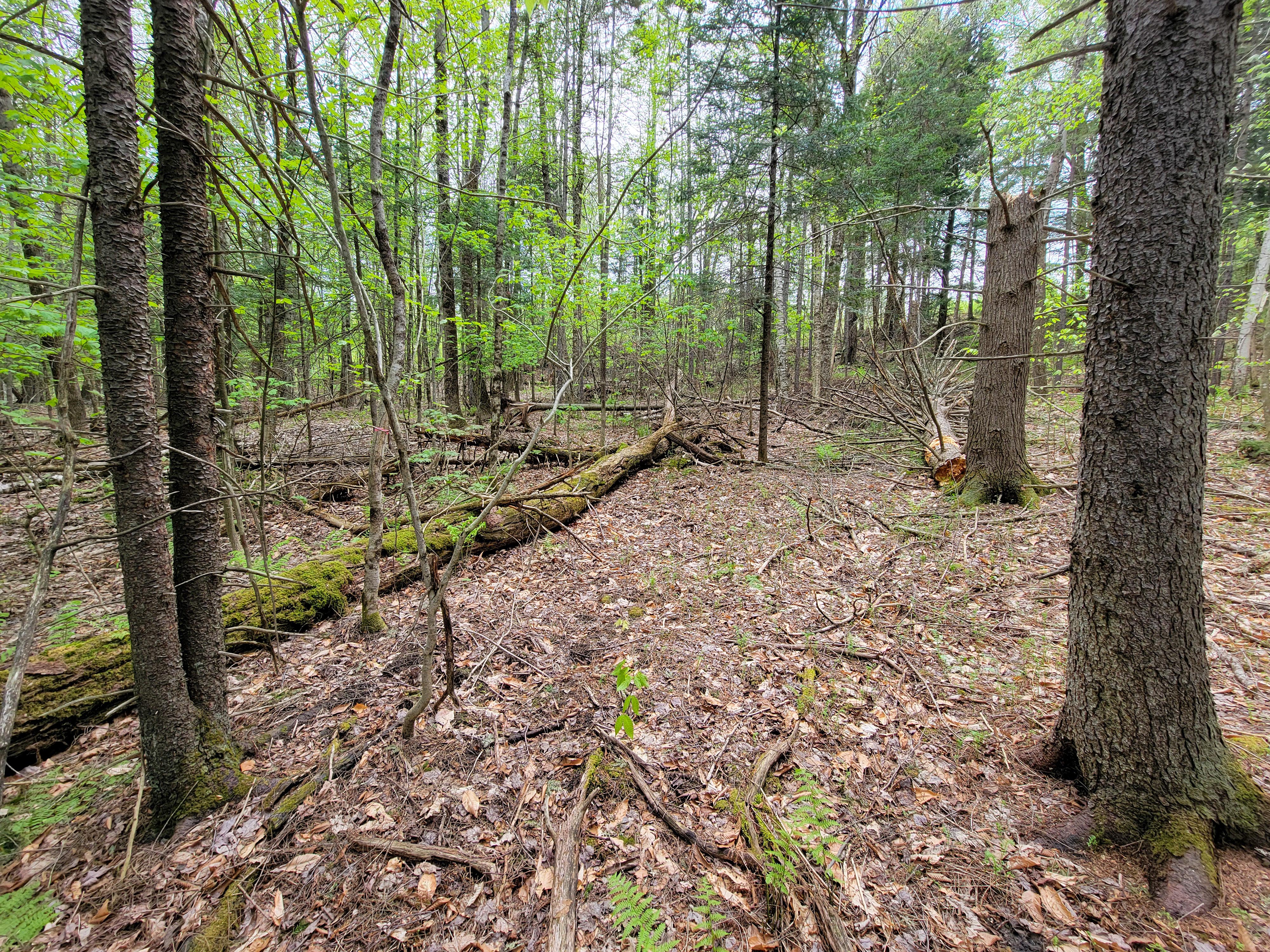 Listing Image 36