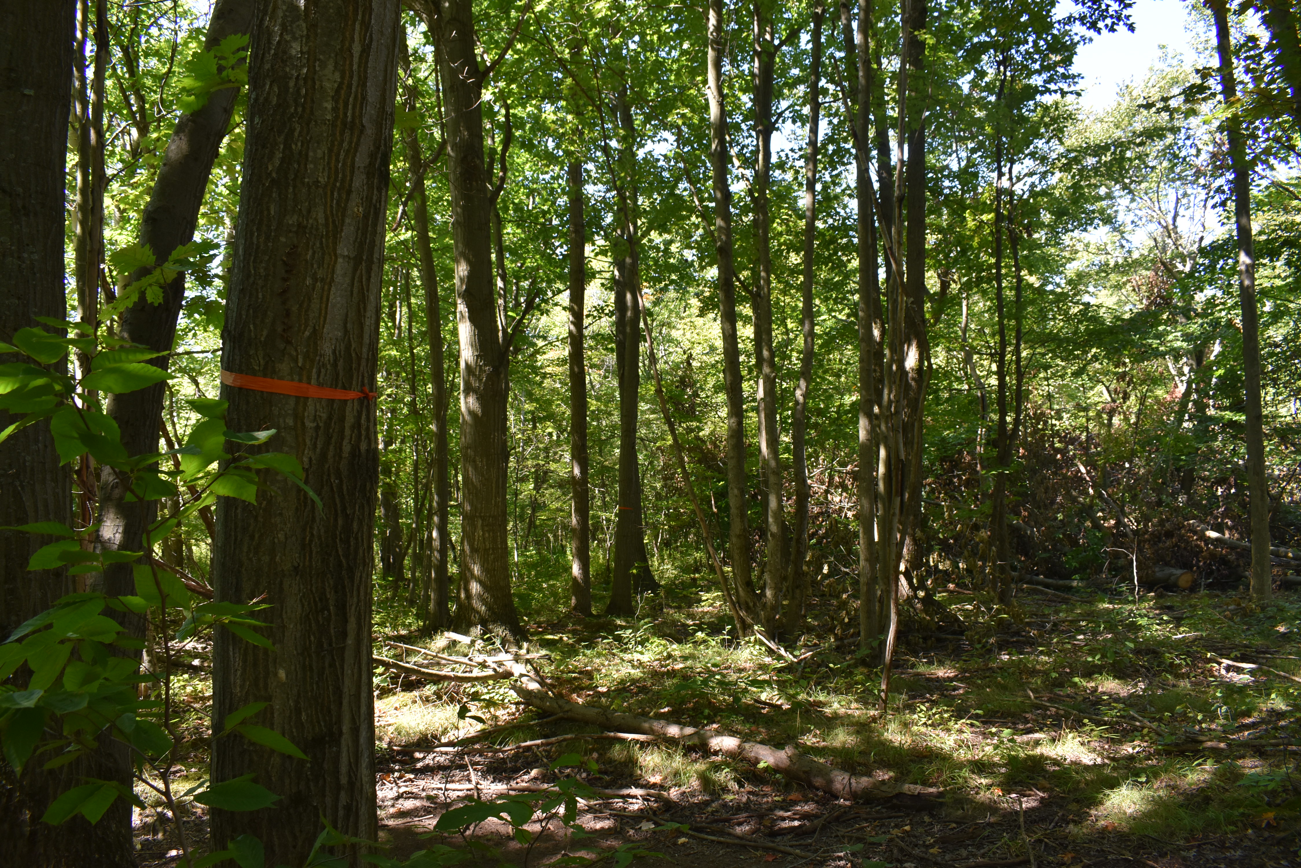 Hunter's Hidden Treasure