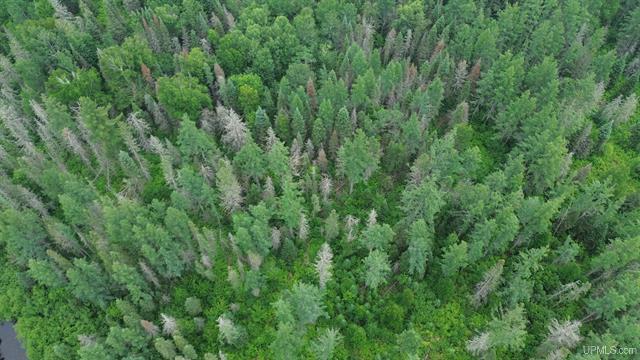 Pure Seclusion River Frontage 50181073