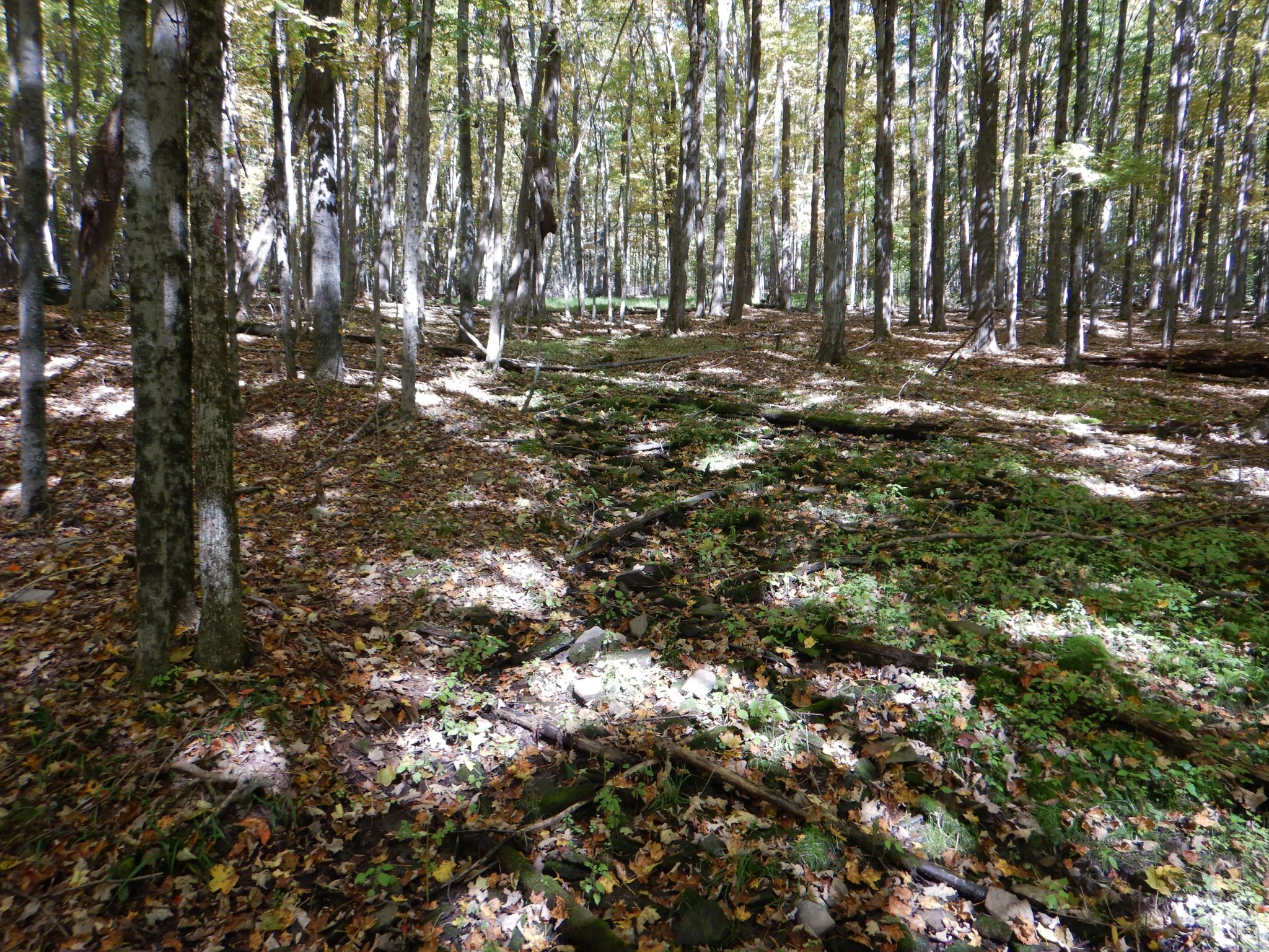 Listing Image 36