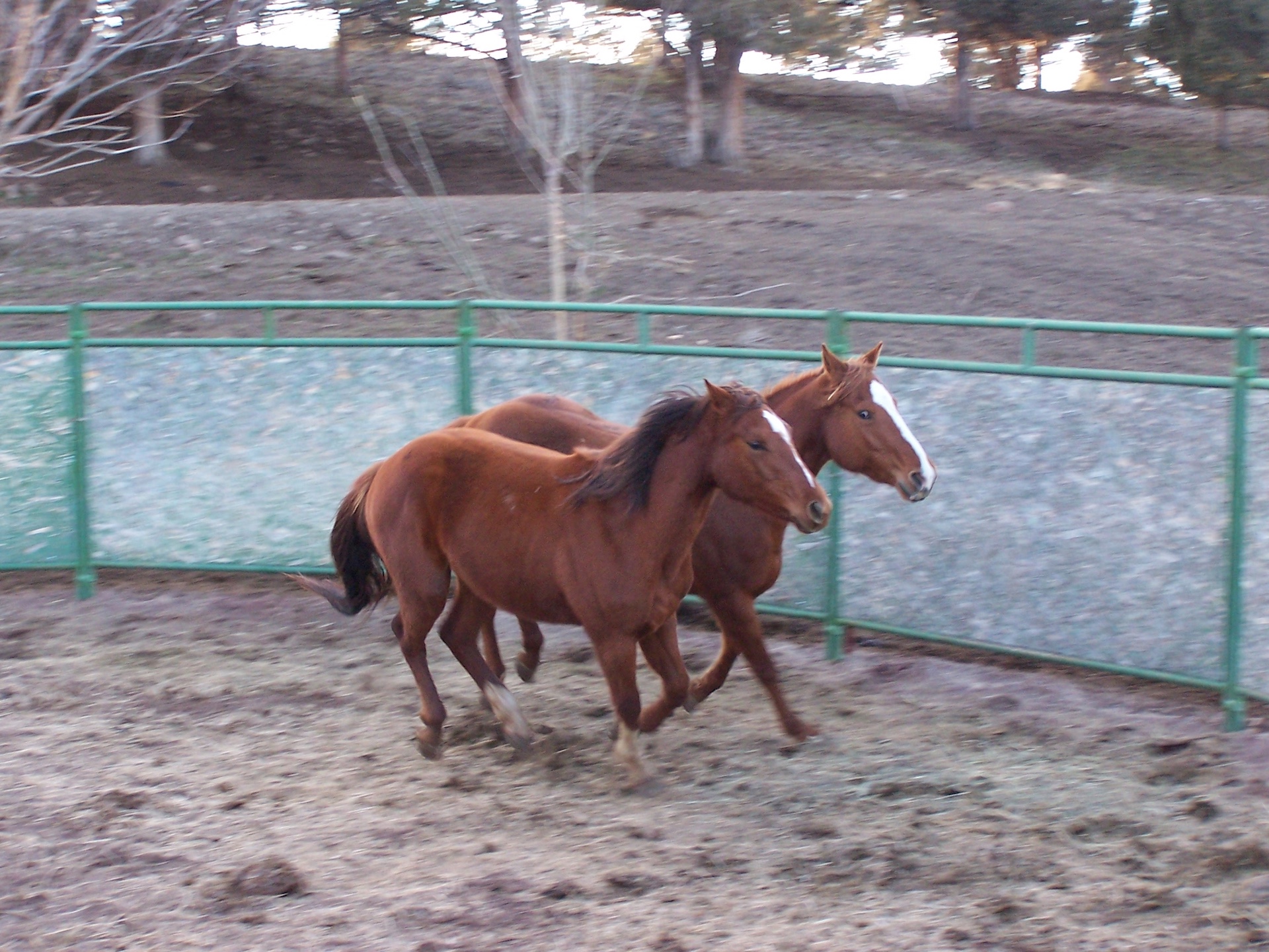 Parker Creek Ranch
