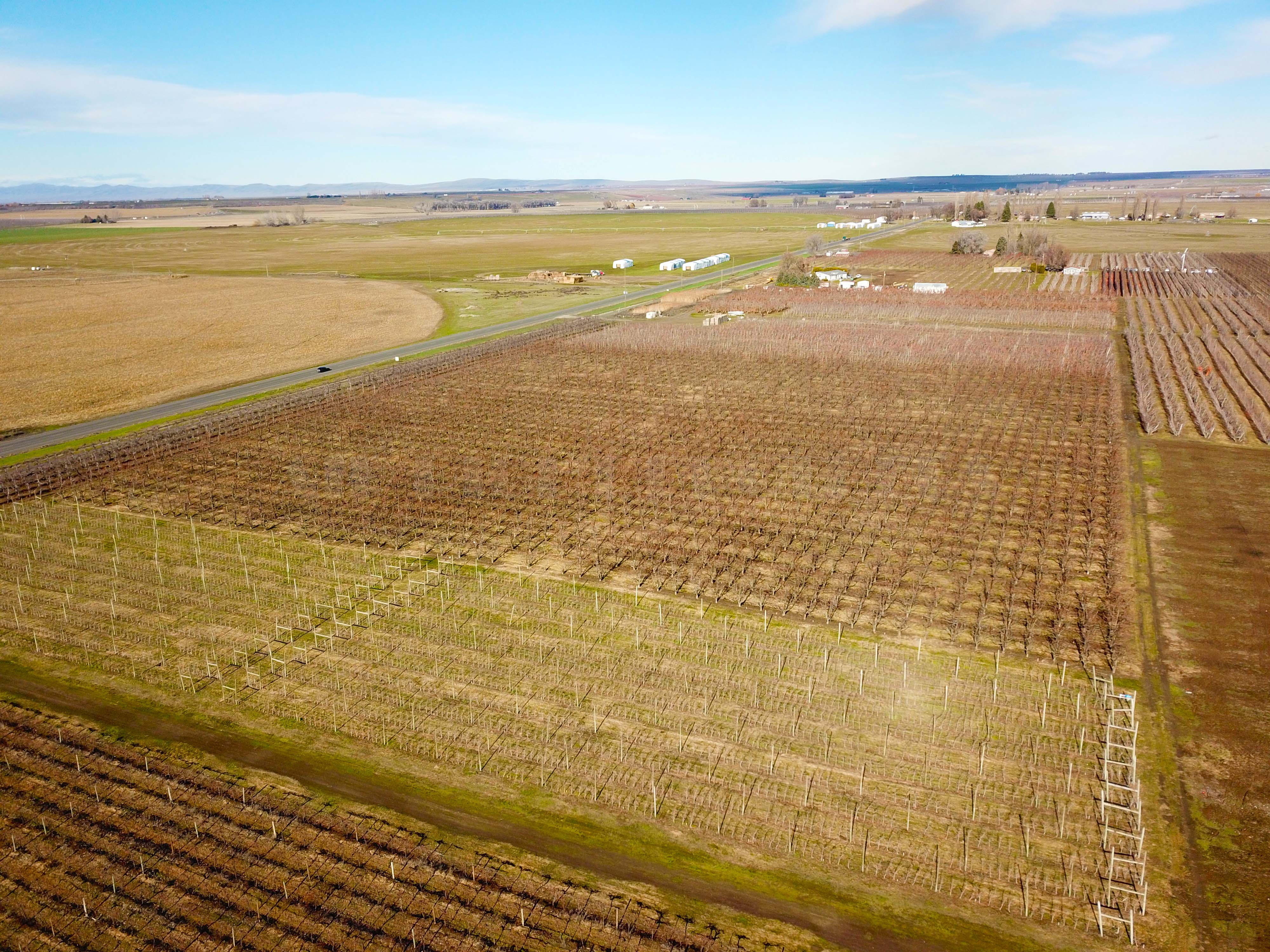 Best Price in County for Productive Orchard