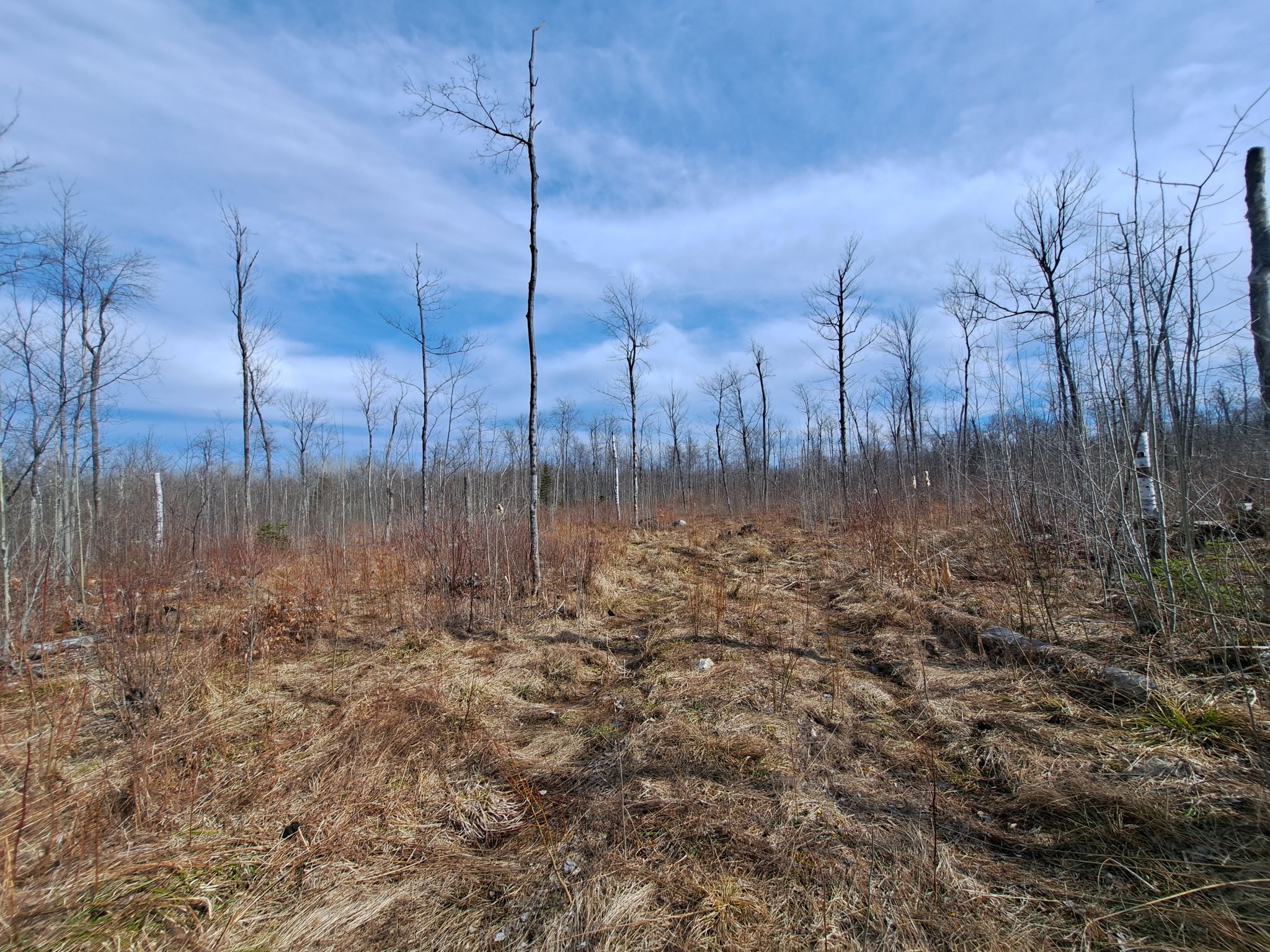 Listing Image 63