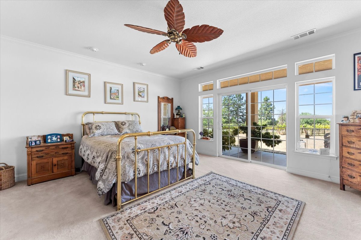 Alger Vineyards and More