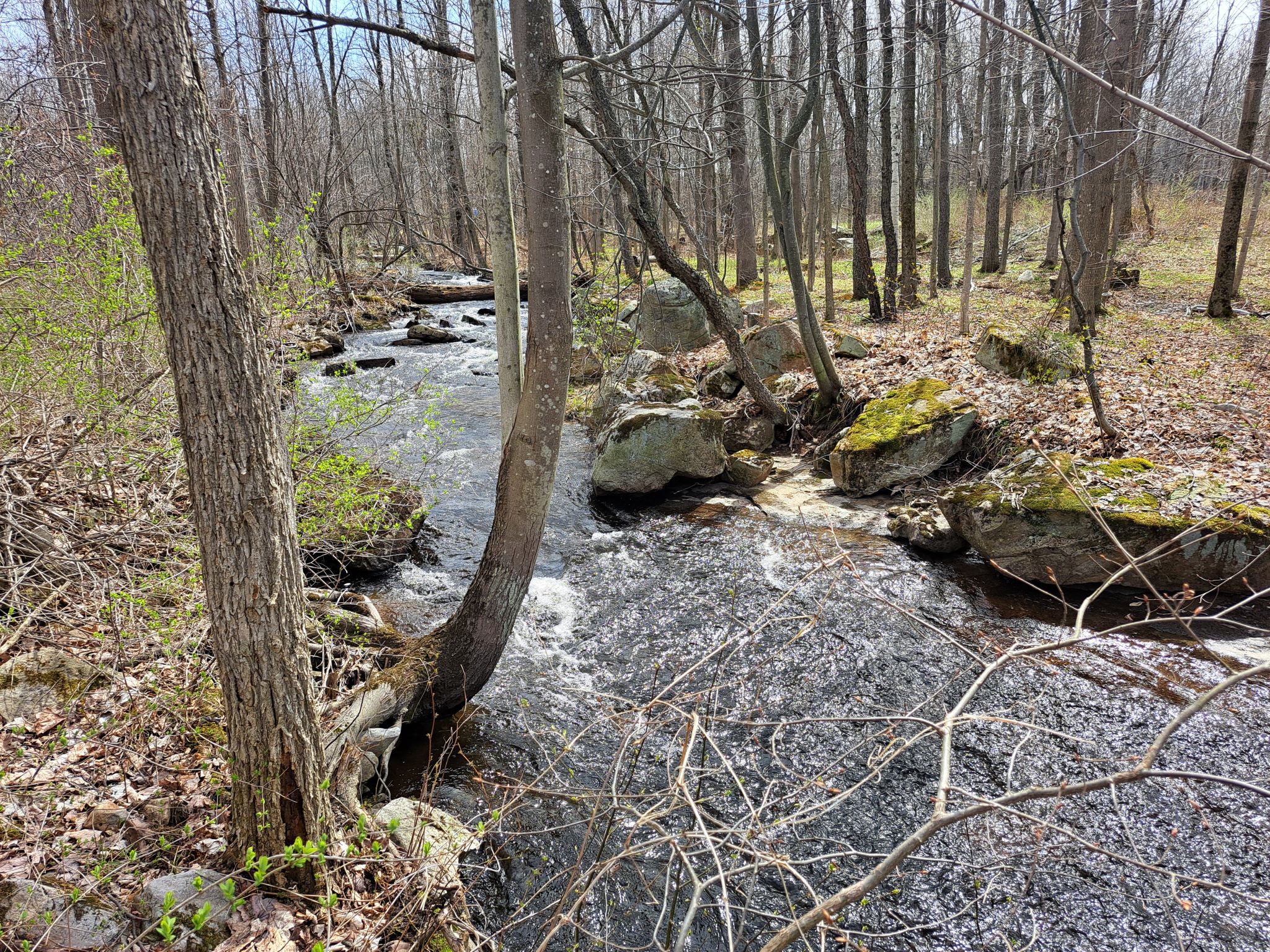 Listing Image 21