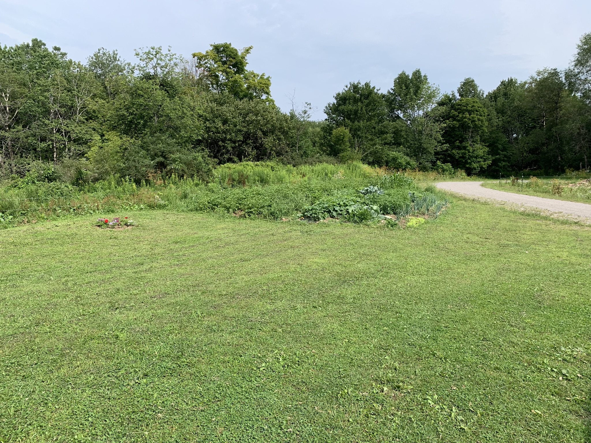 Lyman Brook Forest