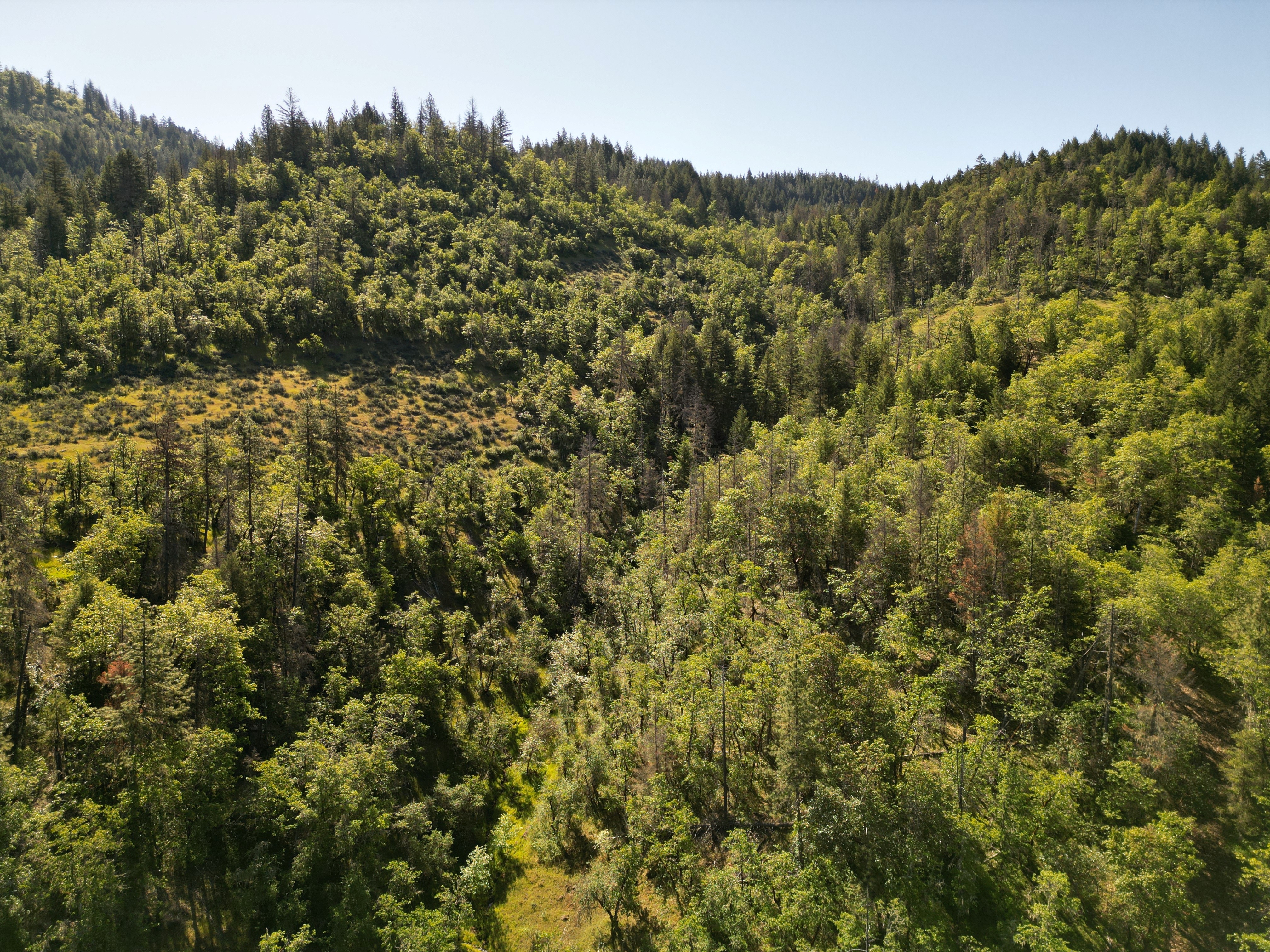 Elk Creek Road TL 3200