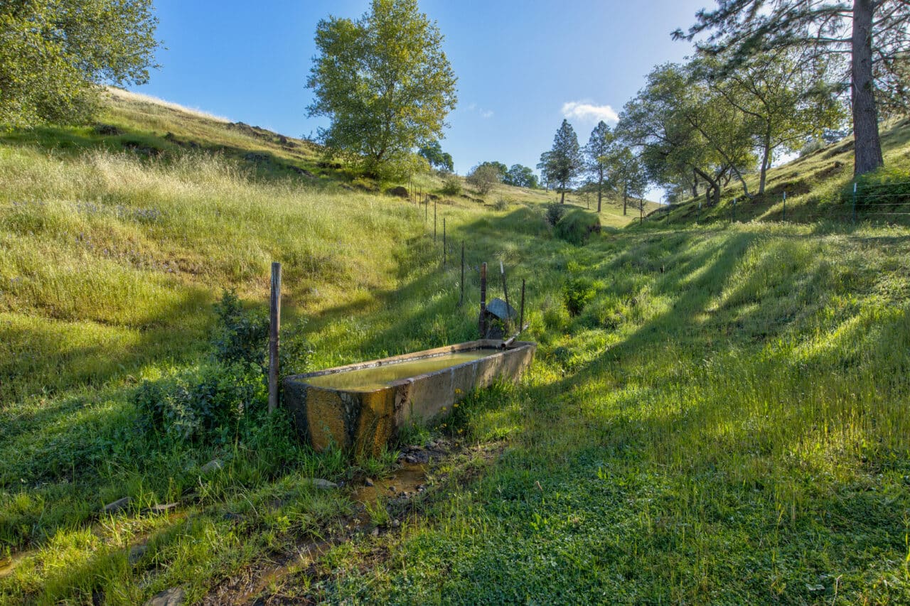 Trembath Mountain Vista
