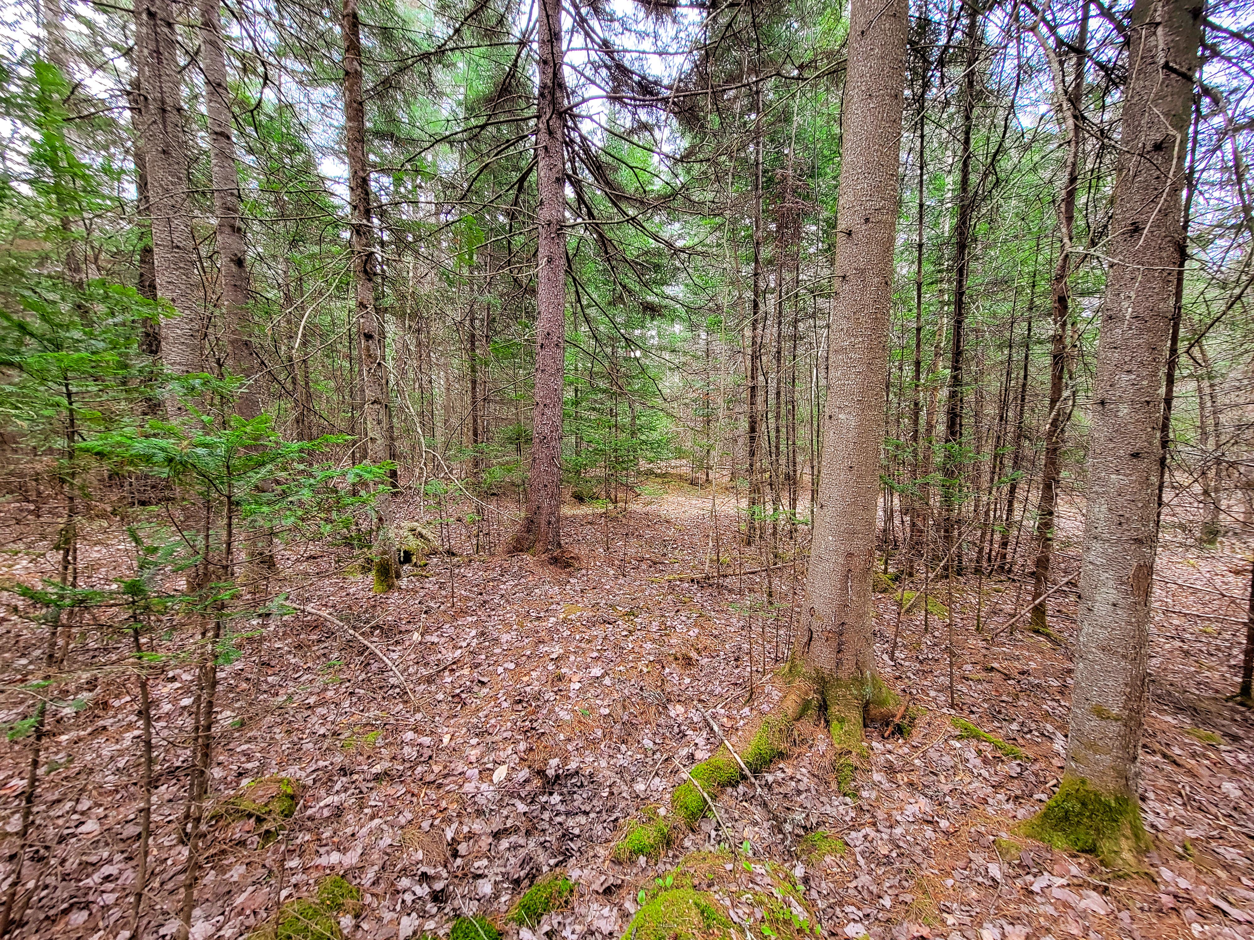 Listing Image 29