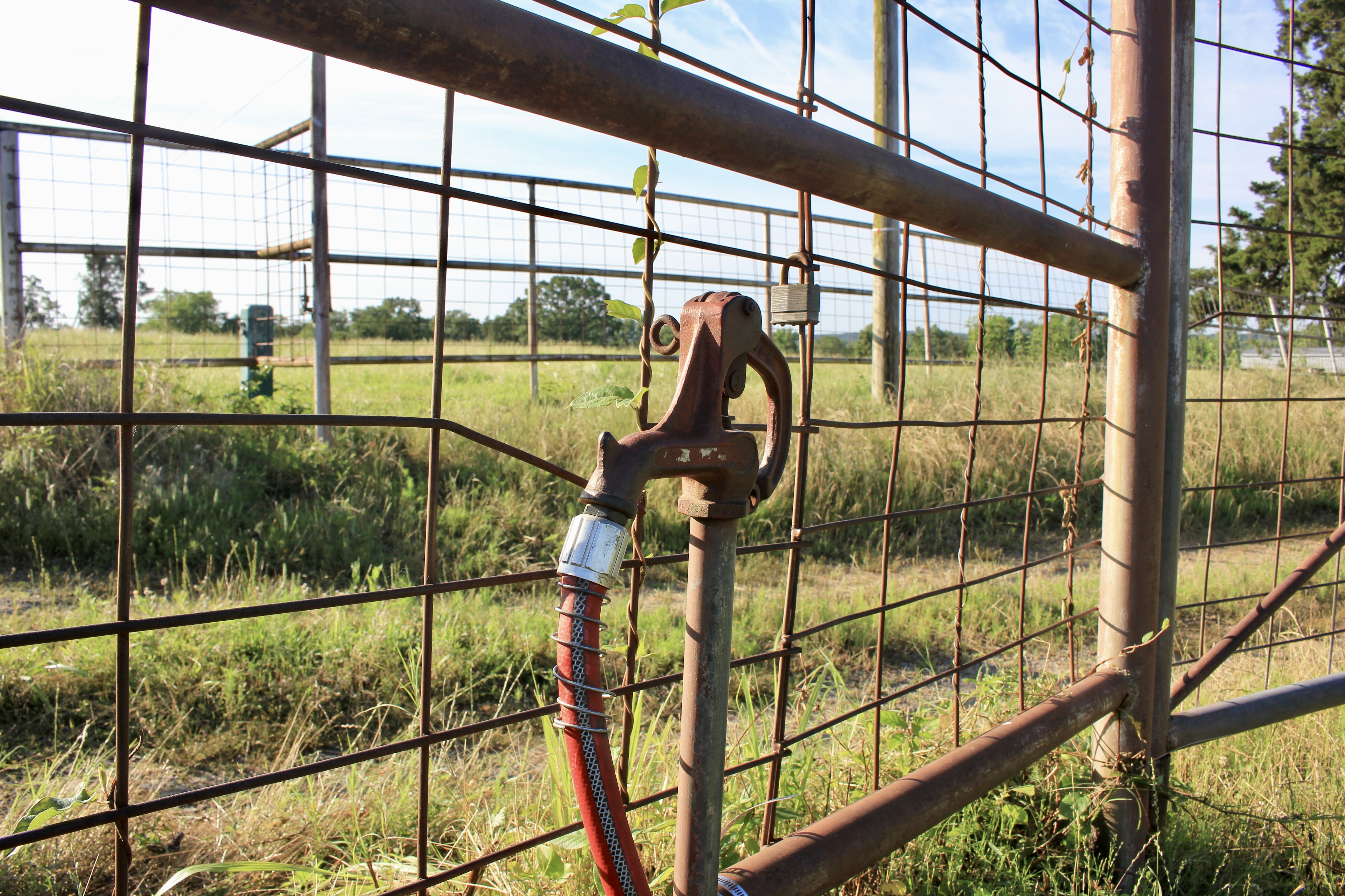 River Valley Rotational Grazing