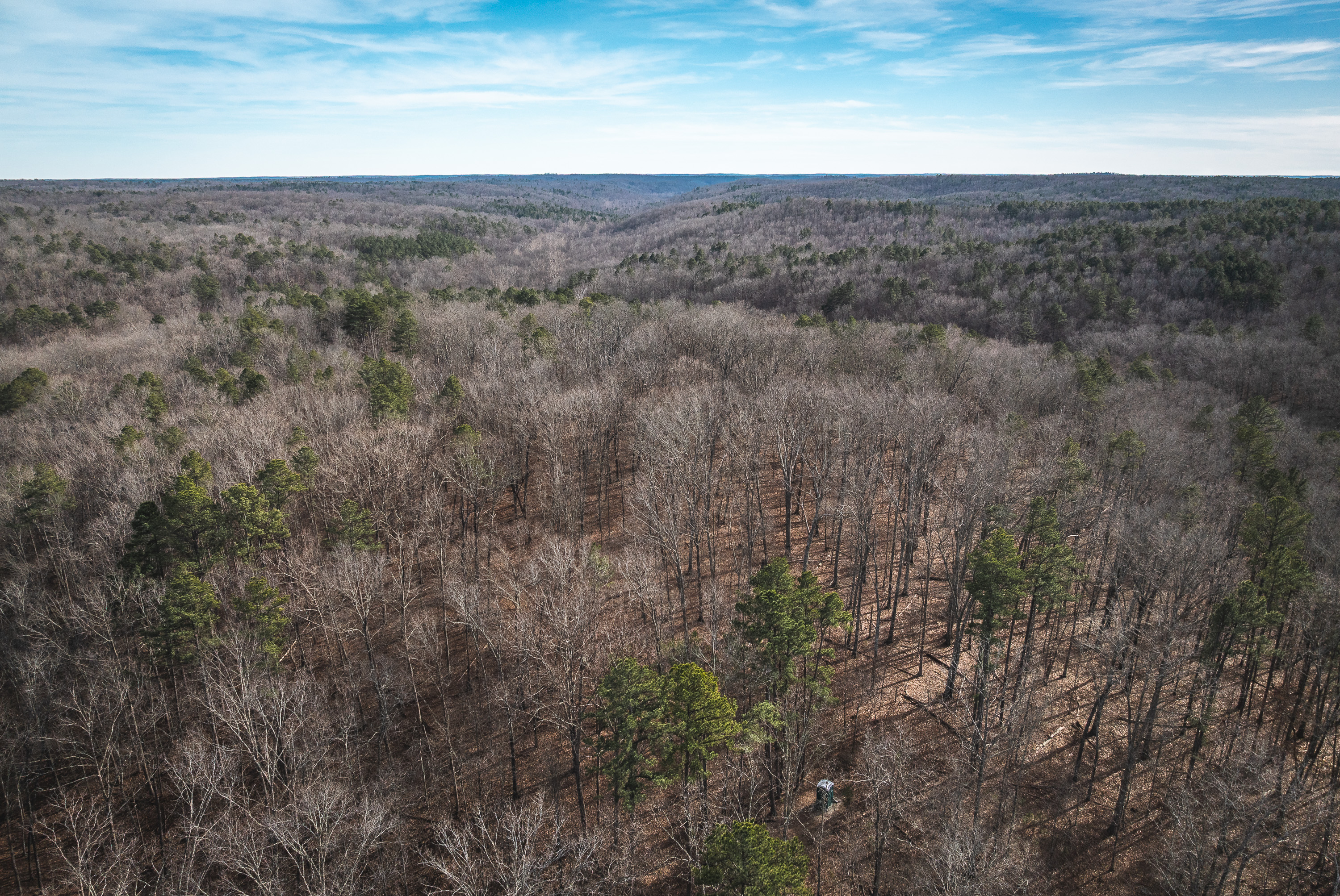 Curly Hole Camp at Peterball Spring