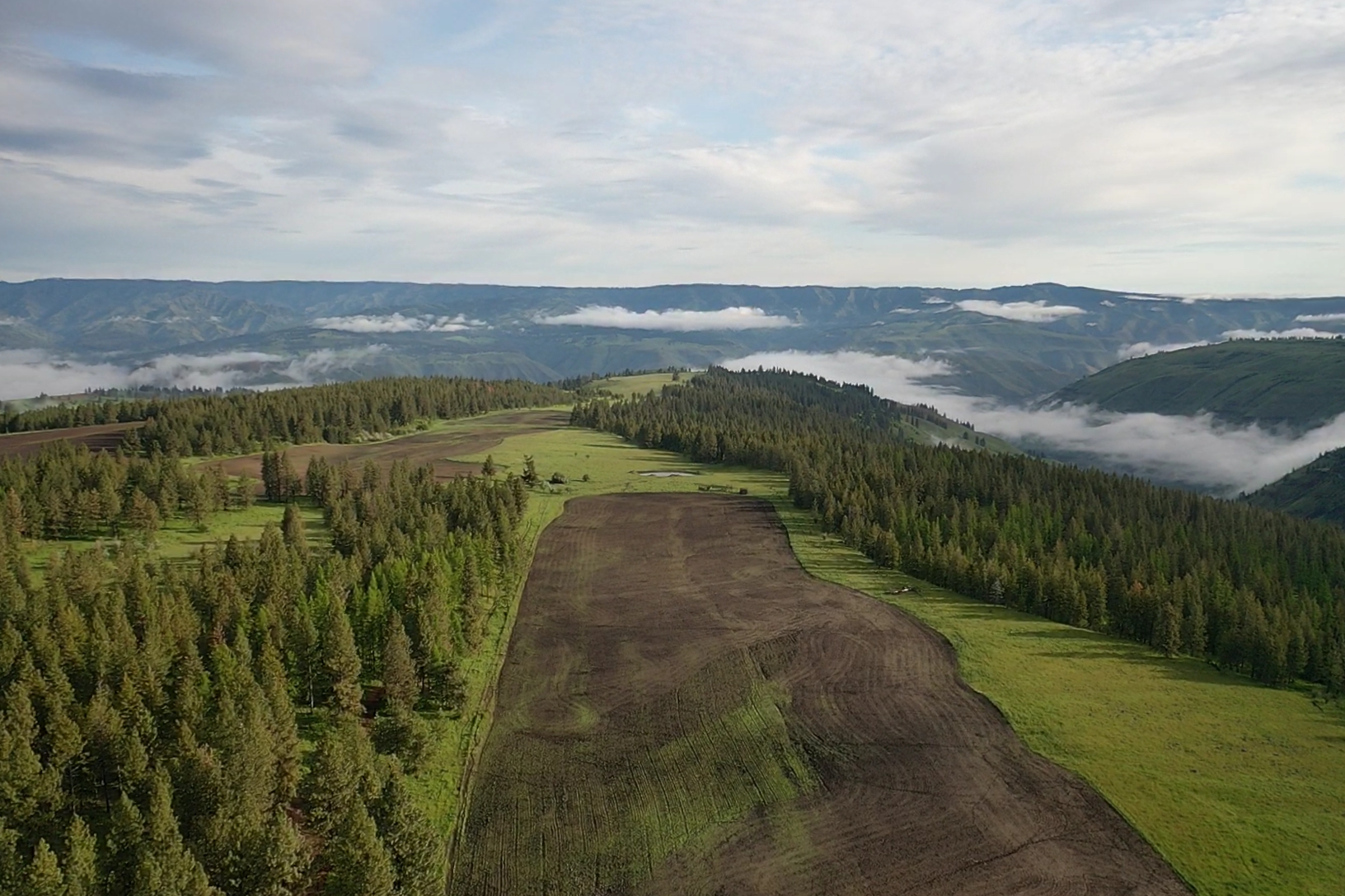 Buford Ridge Ranch