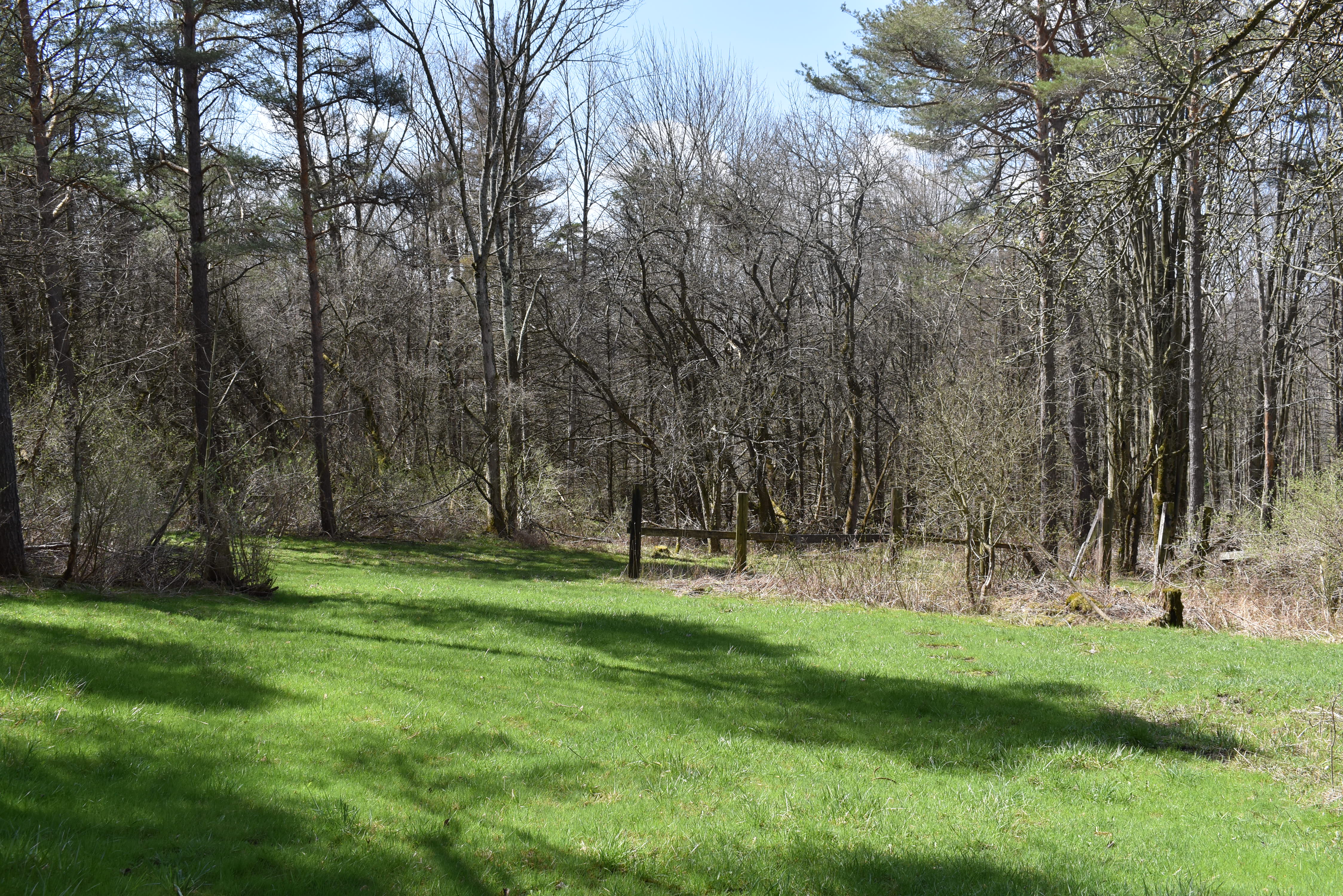 Listing Image 92