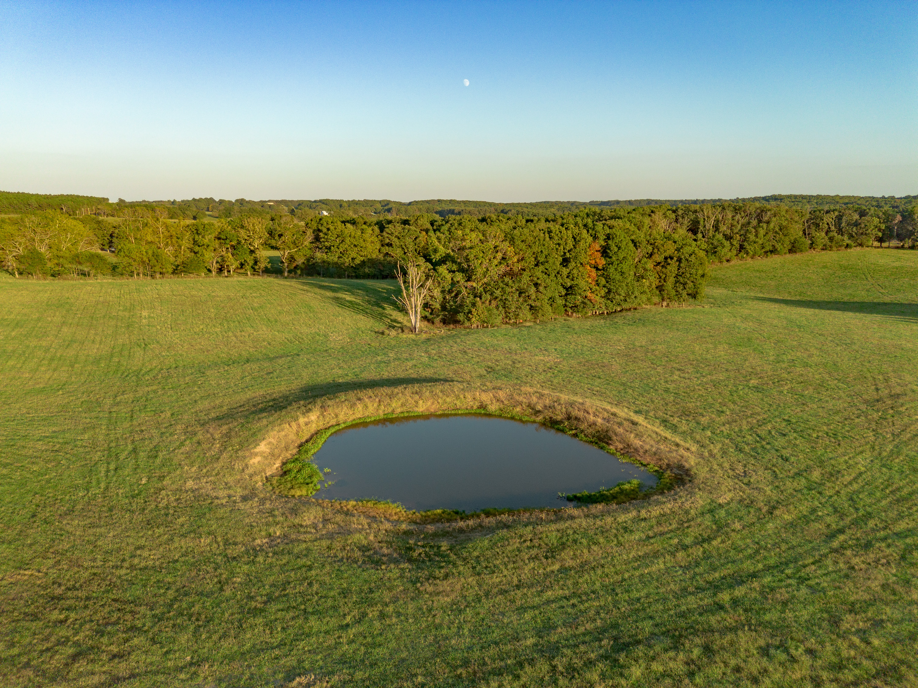 Listing Image 45