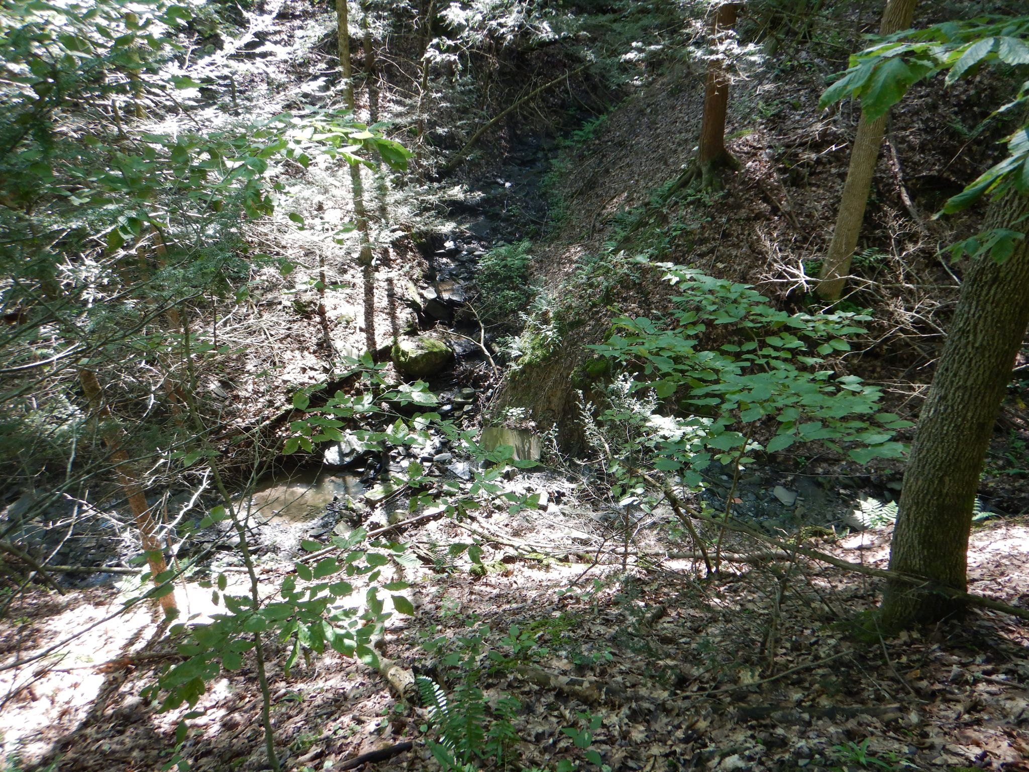 Listing Image 11