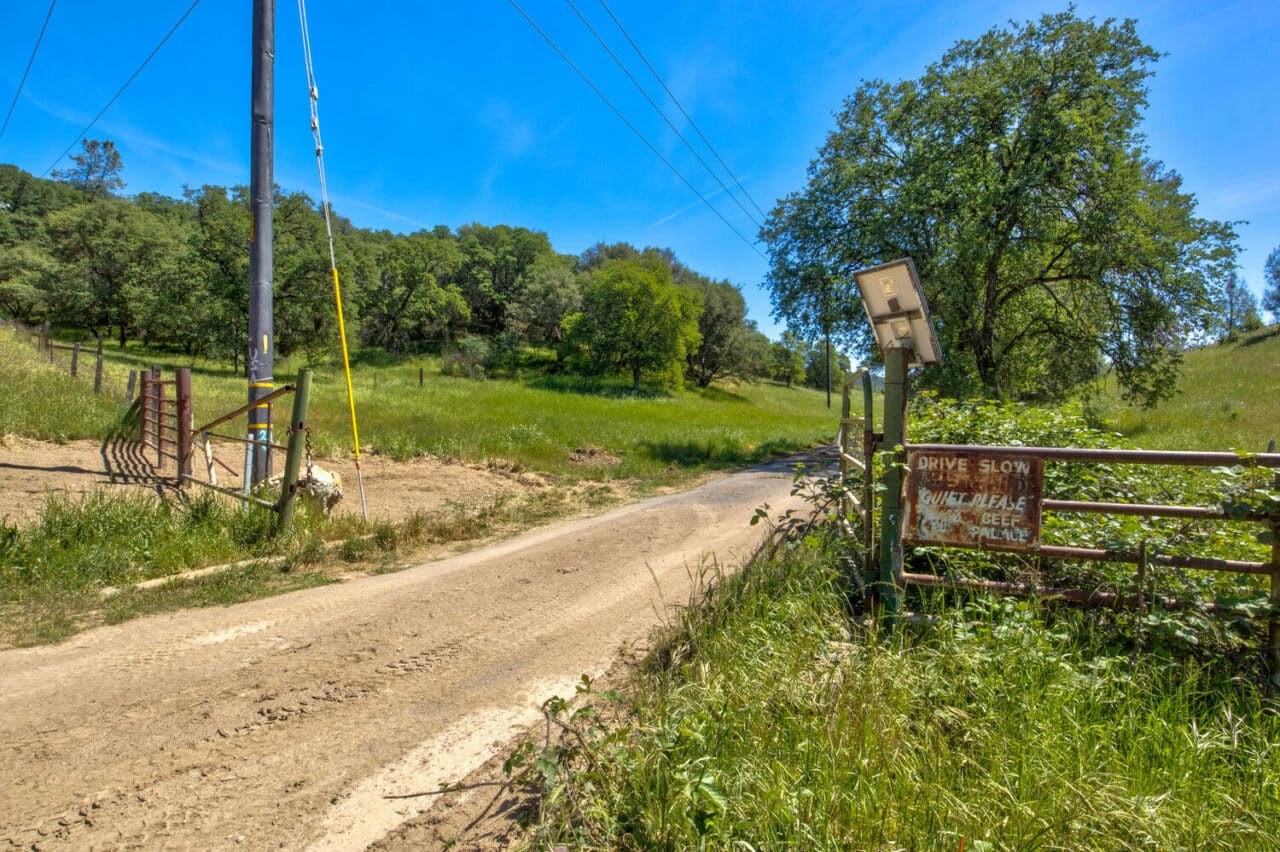 Listing Image 42