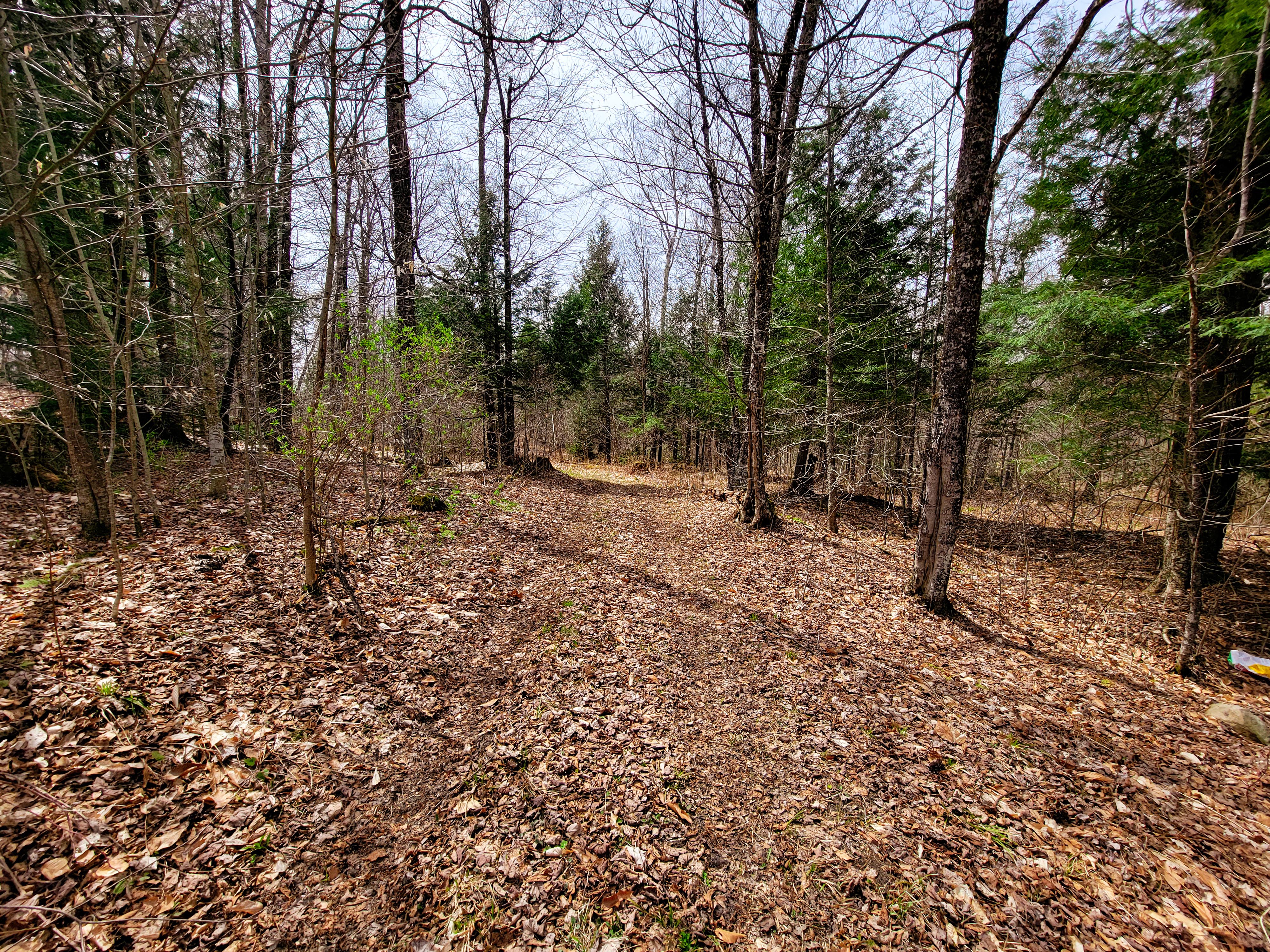 Listing Image 41